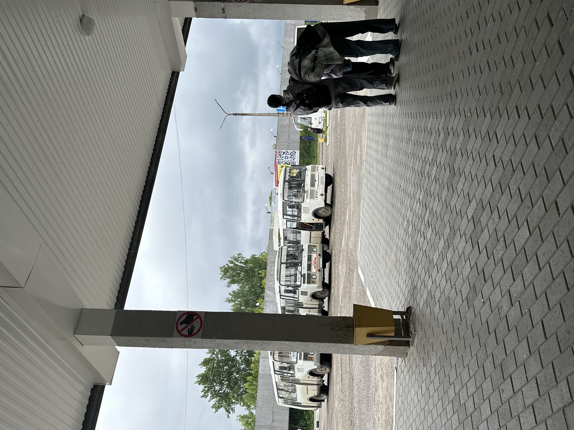 This image depicts a bus station in Chaikovsky, Russia, under an overcast sky. In the immediate foreground, a stout gray concrete pillar with a white upper section supports a white corrugated metal canopy. A circular red and white sign on the pillar, featuring a crossed-out hand feeding a pigeon, prohibits feeding birds. Below this sign, a yellow metal waste bin is attached to the pillar. The ground beneath the canopy is paved with dark gray rectangular pavers laid in a herringbone pattern.
To the right, three individuals are positioned under the canopy, with their backs largely facing the viewer. The leftmost person wears a gray hooded sweatshirt and a black backpack. The middle person is partially obscured. The rightmost person, wearing a plaid shirt and dark pants, is leaning forward, suggesting close conversation or observation.
In the mid-ground, a series of white, small-to-medium-sized buses, consistent with PAZ models, are parked on a lighter gray paved surface. Two buses on the left display the route number "111" on their front destination signs. A third bus, parked centrally and facing forward, also exhibits "111" and has a Russian license plate (H097PE). Another white bus, marked "112," is visible further in the background to the right.
Beyond the buses, a gray concrete wall or building structure spans the background, featuring a large white banner with a red border, black QR codes, and Cyrillic text. Lush green trees are visible in the distant background, and a tall street lamp post stands to the right of the central view.