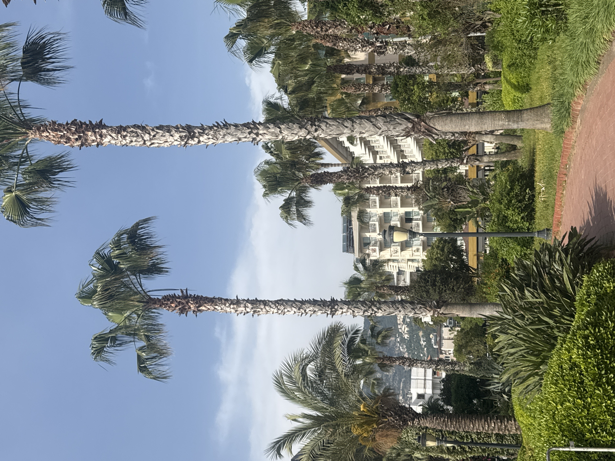 The image captures a row of tall palm trees lining a walkway in Alanya, Turkey. The walkway, marked by a red brick path, is bordered by lush green bushes and various plants. In the background, multi-story buildings with air conditioning units are visible, suggesting a resort or residential area. The sky is a clear blue with wisps of clouds. The palm trees appear to be swaying slightly in the wind. The overall impression is that of a warm, sunny day in a coastal city.