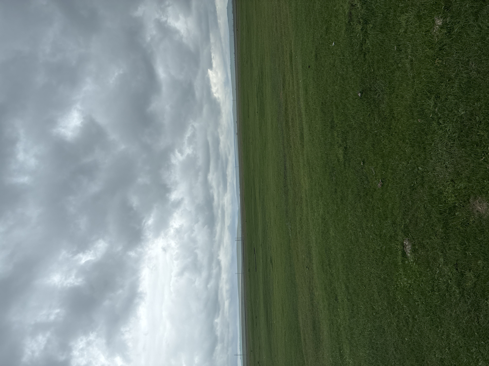 An overcast sky with thick, grey clouds dominates the upper half of the image. Below the clouds, a vast, flat expanse of vibrant green grassland stretches to the horizon. The grassland appears to be a pasture or meadow, with no clear signs of cultivation. In the far distance, a faint, hazy line of hills or mountains is visible against the sky. Several thin, vertical poles, likely utility poles or antennas, are scattered across the distant landscape. The overall scene suggests an open, rural environment under a moody sky. The location is the city of Ust'-Ordynskii, Russia.