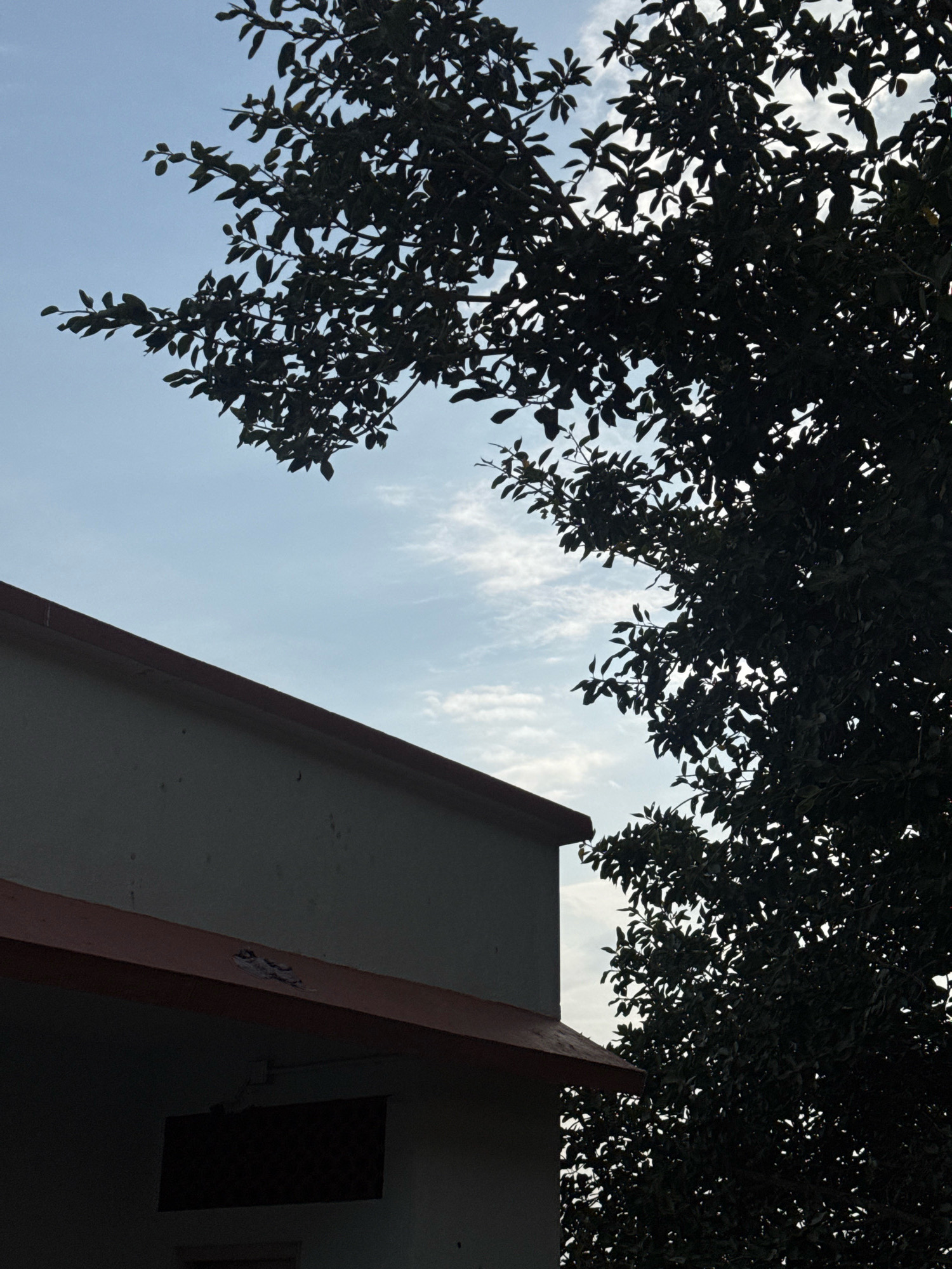 An outdoor, low-angle shot shows the upper portion of a building and a tree against a light blue sky with scattered white clouds. The building, visible on the left, is light gray with a dark reddish-brown overhang. Part of the building's facade appears weathered, with some dark spots or stains. A rectangular, dark object, possibly a sign or a window, is set into the wall beneath the overhang.
To the right of the building, a large tree with dark green leaves fills a significant portion of the frame. The leaves and branches are silhouetted against the sky, with some light filtering through the canopy. The tree extends upwards and to the right, obscuring the upper right corner of the image.
The scene is devoid of any visible people or animals. The overall impression is one of a quiet outdoor setting, possibly a residential or institutional area. The image appears to be taken in Ettimadai, India, as indicated by the context provided.