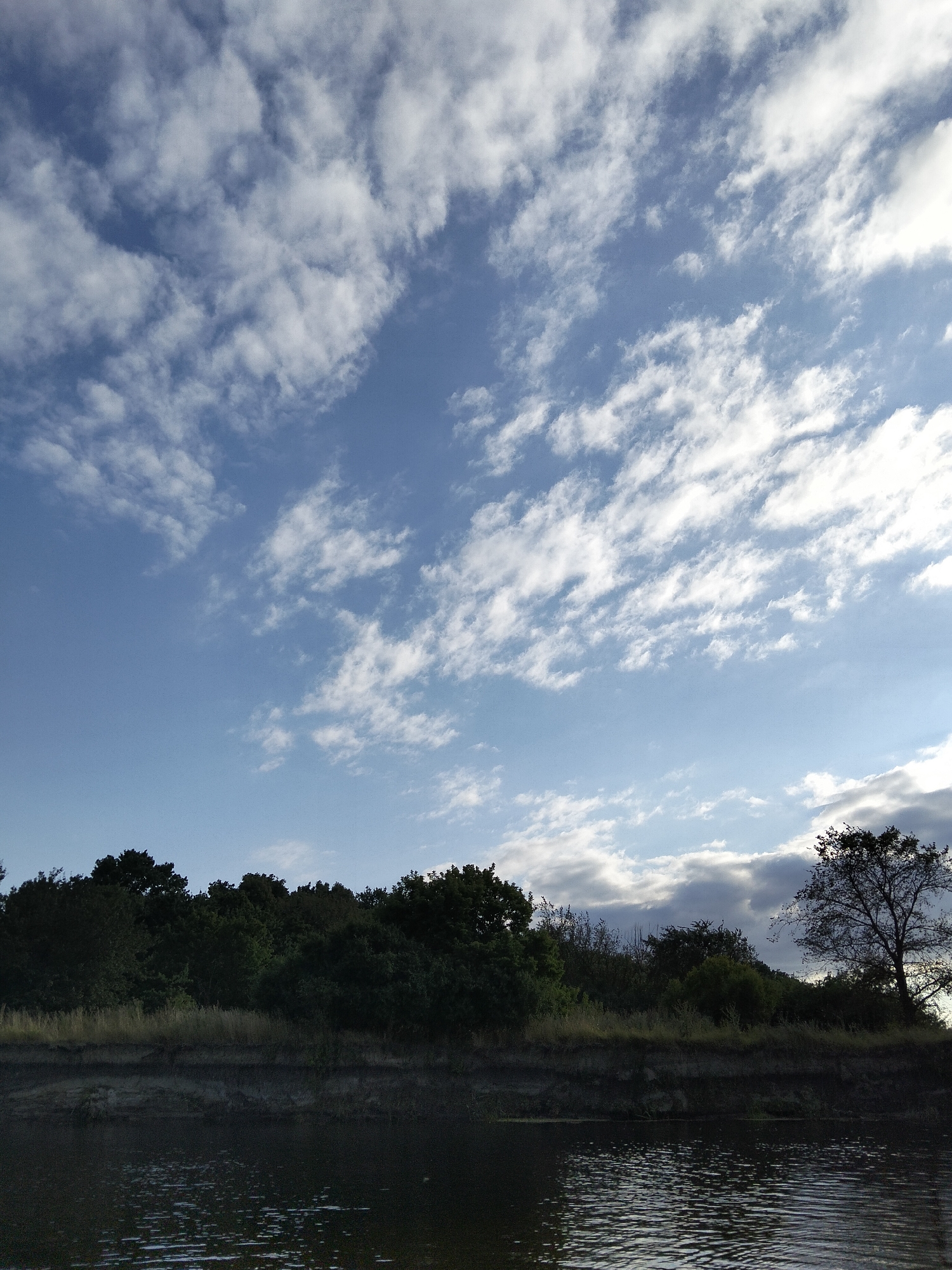 The image depicts a tranquil natural scene along a body of water, likely a river, in Ustyvytsia, Ukraine. The sky is a prominent feature, filled with scattered white clouds against a clear blue expanse, with a hint of sunlight filtering through on the right side. Below the sky, a dense line of dark green trees forms a thick canopy along the bank of the river. The bank itself is composed of layered soil, with a lighter strip of dry grass visible just above the water line. The river in the foreground reflects the muted colors of the sky and surrounding foliage, with small ripples indicating gentle movement on its surface. The overall impression is one of peaceful natural beauty, devoid of any human presence or activity.