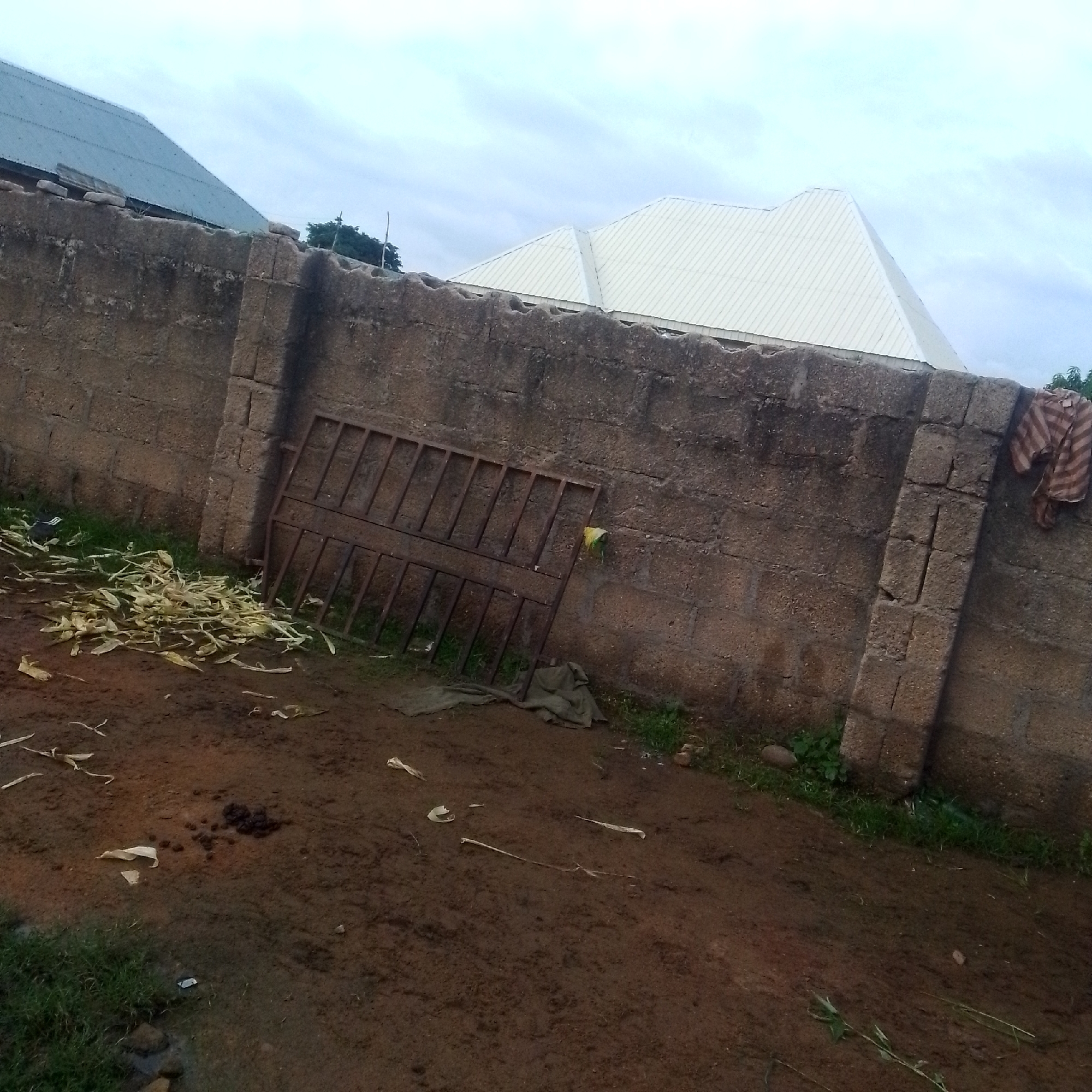 A wide-angle, eye-level outdoor shot captures a scene in Jalingo, Nigeria, dominated by a rough, concrete block wall that stretches across the frame. To the left of the wall, a section of a building with a corrugated metal roof is visible. Beyond this, a larger building with a white, peaked metal roof is seen. In the foreground, the ground is a mix of reddish-brown dirt and patches of green grass. Scattered on the ground are dried stalks and leaves, likely from corn husks, and what appears to be animal droppings. A rusty, metal gate, possibly for a doorway or enclosure, leans against the wall. On the far right, a piece of striped fabric, possibly clothing, is draped over the wall. The sky above is overcast with gray clouds. The overall impression is one of a utilitarian outdoor space, potentially a yard or alleyway.