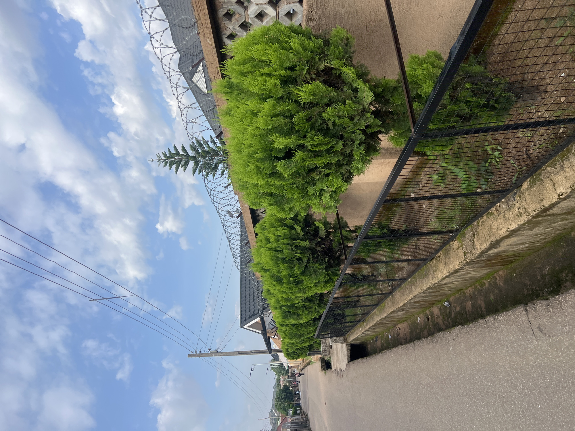 In the city of Barakin Akawo, Nigeria, a residential street is depicted with a paved road and a drainage ditch running along its side. A row of neatly trimmed, lush green cypress trees is planted behind a black metal fence. Beyond the trees, a tan-colored wall topped with razor wire encloses a property with a dark tiled roof and a decorative patterned section. In the background, more houses and trees are visible, along with overhead power lines and a utility pole. The sky above is a bright blue with scattered white clouds. A few people are visible on the road in the distance, and a lone white bird stands in the drainage ditch.