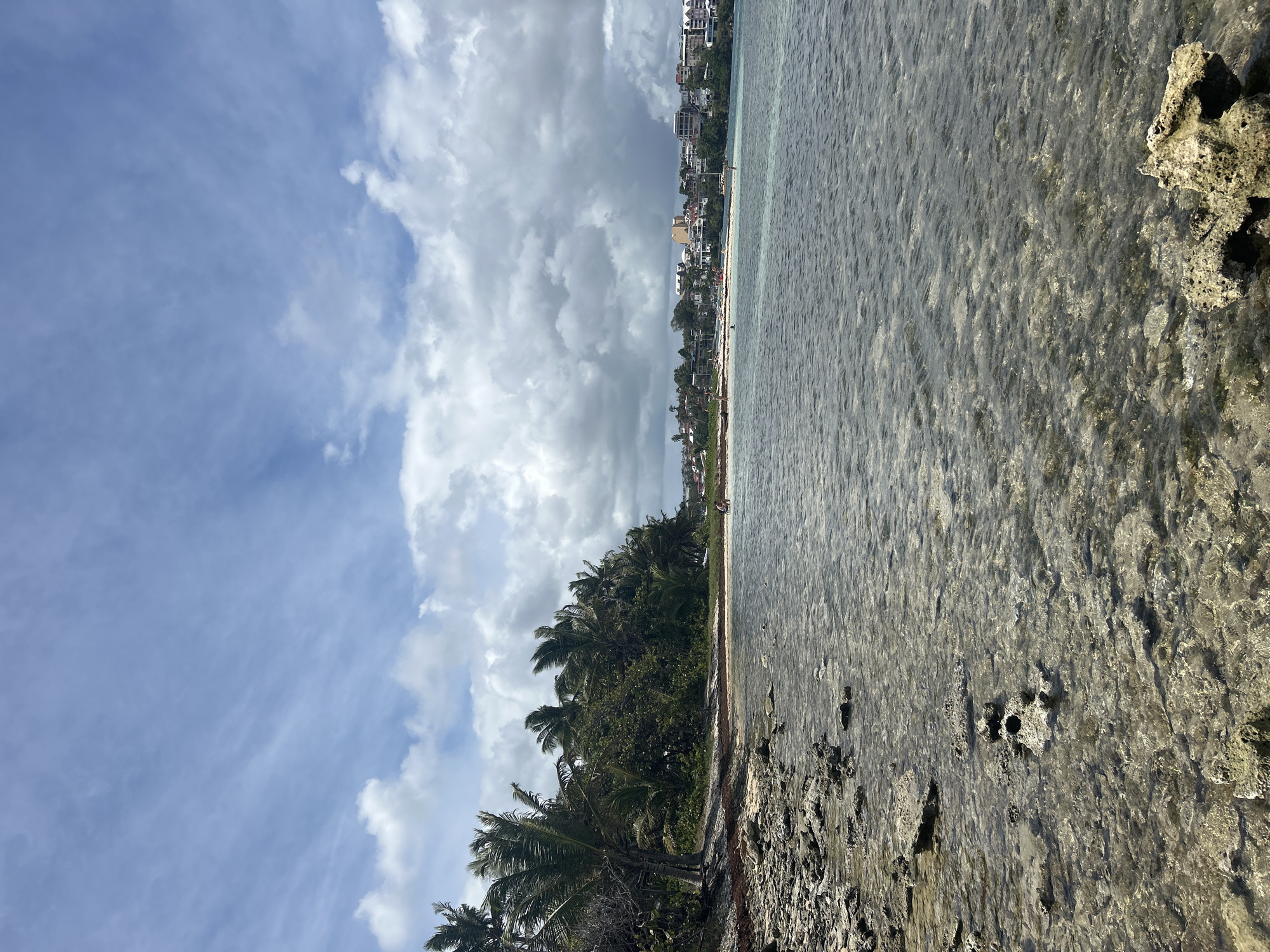 The image depicts a coastal scene in Le Gosier, France. A strip of land with palm trees separates the sky, filled with partly cloudy conditions, from the shallow, clear water meeting a rocky shoreline. In the distance, buildings line the coast. No people are distinctly visible. The image is vertically oriented.