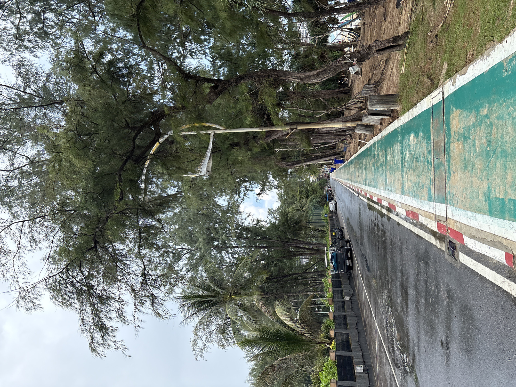 The image depicts a street scene in Karon, Thailand. A wet asphalt road runs alongside a green paved pedestrian and cycling path. The road has white and red markings. On the road, a dark-colored pickup truck, a scooter, and other vehicles are visible, along with some puddles of water, suggesting recent rain. A row of mature trees, primarily casuarina trees and some palm trees, line the right side of the path and road, casting shadows. There are also wooden posts along the edge of the path. In the background, foliage and some distant buildings can be seen. The sky is overcast. A lamppost is positioned between the road and the trees.