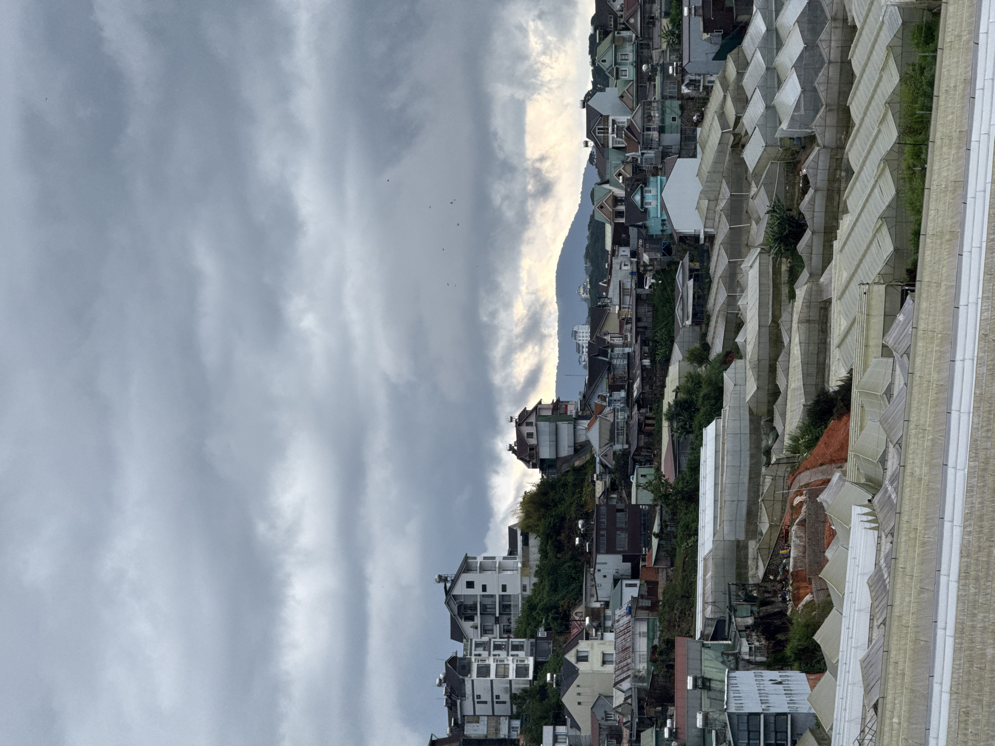 The image presents a cityscape in Lang Biang - Đà Lạt, Vietnam, under an overcast sky. The foreground features a dense collection of buildings and greenhouses, arranged in rows along the slope of a hill. The buildings are of varied construction, with some appearing older and others more modern, with white and light-colored exteriors. The greenhouses form a distinct pattern of angled structures, suggesting agricultural cultivation. In the midground, a mountain rises behind the developed area, its peak partially obscured by clouds. Small birds are visible in the sky above the mountain. The overall impression is that of a town nestled in a mountainous region, with a mix of urban and agricultural elements.
