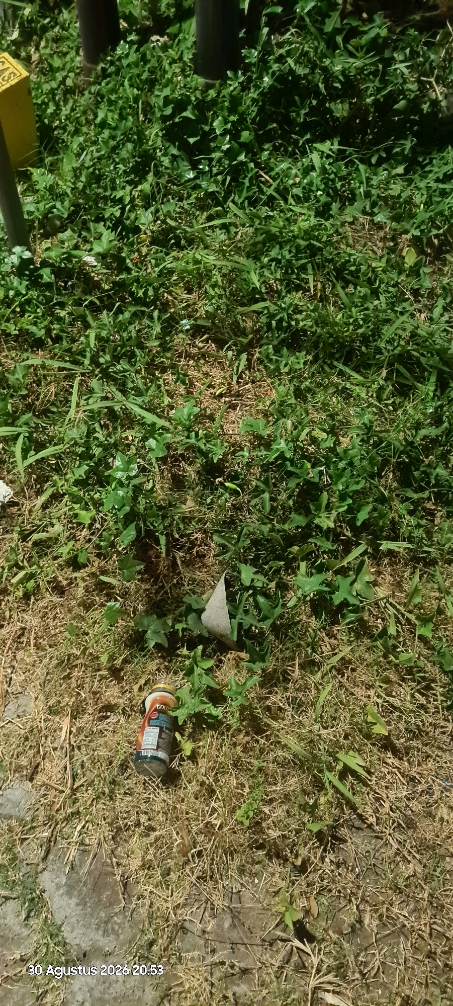 A close-up, low-angle shot captures a small section of an outdoor grassy area, likely in Surabaya, Indonesia, as indicated by the timestamp "30 Agustus 2026 20.53". The ground is covered with a mix of green grass and dry, brown vegetation. A crushed beverage can, with visible orange and white labeling, lies on its side amidst the grass. To the left of the can, a piece of folded white paper is also present. In the background, dark vertical cylindrical objects, possibly posts or supports, rise from the greenery. A yellow marker with the word "GAS" is partially visible on the left edge of the frame. The lighting suggests it is nighttime or a very dimly lit area.