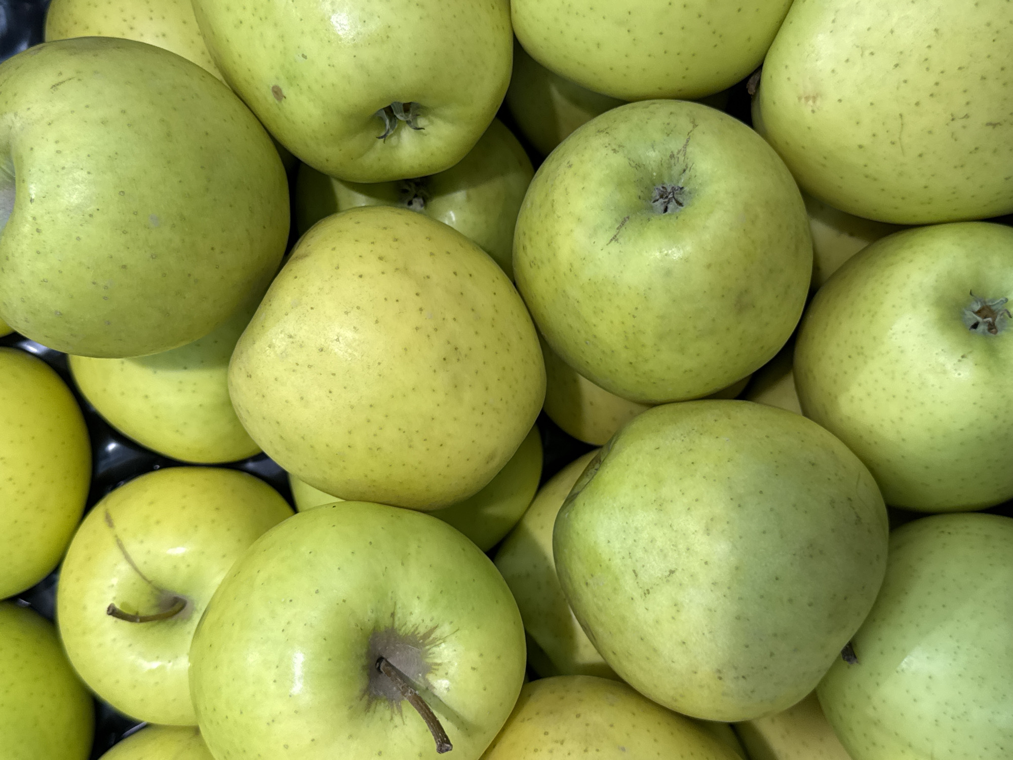 The image displays a close-up, overhead view of a large pile of green apples. The apples are predominantly a light green color with subtle variations in shade and some appear to have small, dark specks on their skin. They are tightly packed together, obscuring the background which seems to be a dark surface, possibly a bin or crate. The lighting is bright, highlighting the smooth, rounded surfaces of the fruit. There are no people or any other objects visible in the frame. The scene appears to be a retail display of produce, likely in a market or grocery store. The location of Rozhdestvenskaya, Russia is not visually discernible from the image itself.