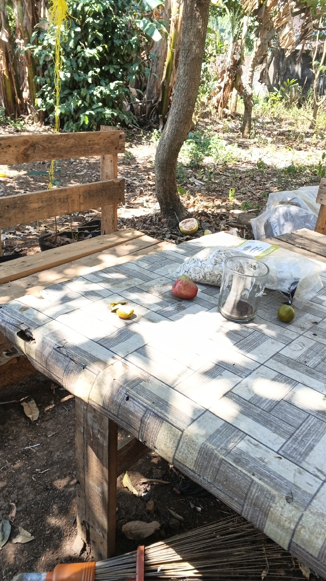 The image captures an outdoor scene, likely in the city of Karangjati, Indonesia. In the foreground, a wooden table is covered with a checkered oilcloth. On the table, there are three fruits: a red rose apple, a halved pomelo, and a small green lime. A clear glass containing a dark substance and two plastic bags filled with white, flaky material are also present. A broom lies on the ground beneath the table. The background features lush green foliage, banana trees, and a rough-hewn wooden bench. The lighting suggests it is daytime, with sunlight casting distinct shadows.