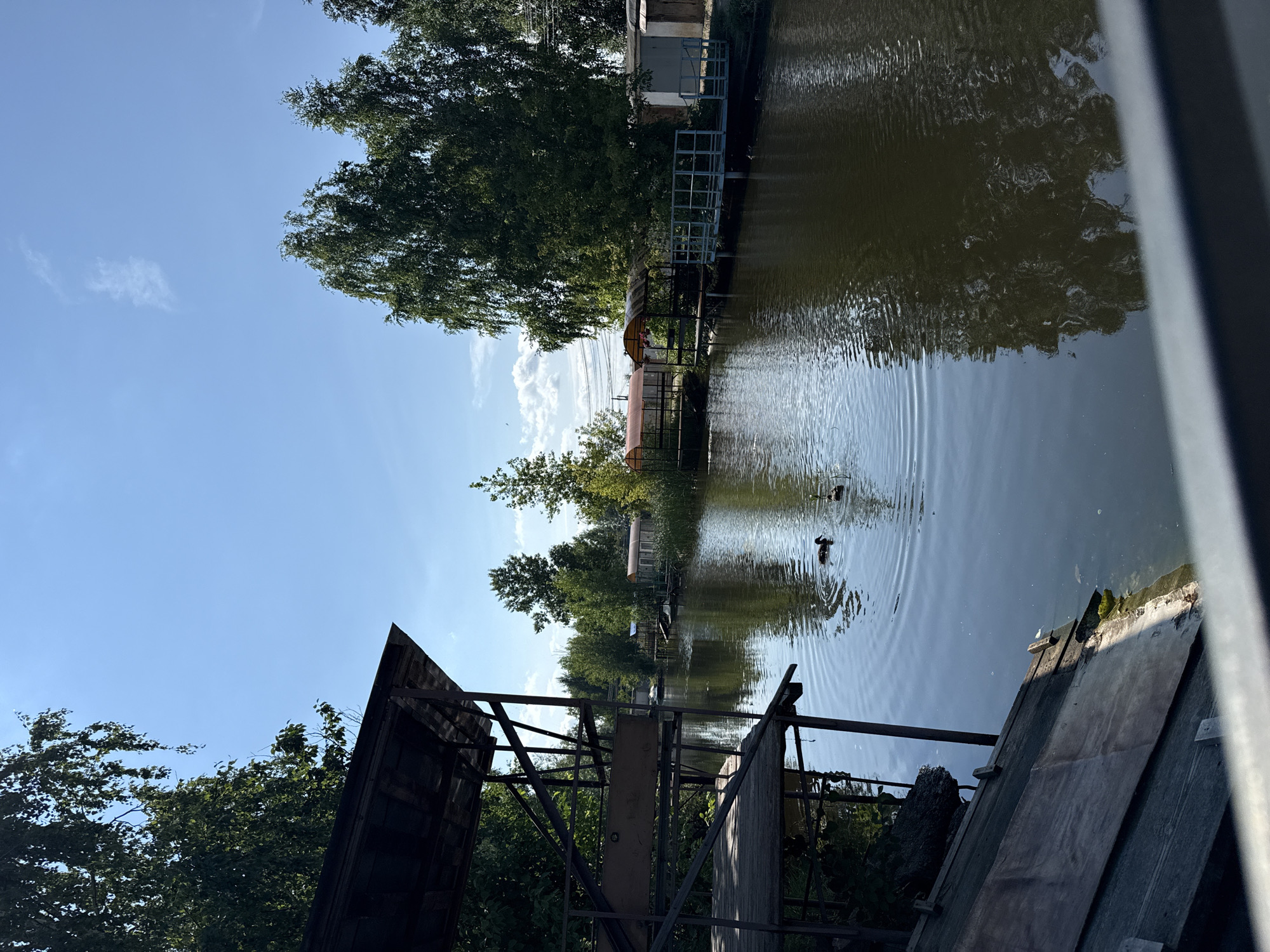 A waterfront scene under a bright blue sky with scattered clouds captures a tranquil, natural setting. In the foreground to the left, a wooden structure with a dark roof and visible beams extends over the water, with a tilted wooden platform. The calm water of a narrow canal or river dominates the mid-ground, reflecting the surrounding greenery and sky. Two dark-colored ducks swim on the water's surface, creating small ripples. Along the far bank, a line of trees and vegetation forms a dense natural barrier. Several small structures, possibly sheds or boathouses, with arched roofs and wooden decks, are visible amongst the trees. A light blue railing runs along a small pier. The background shows more trees and some distant buildings, hinting at a settlement or park area. The overall impression is one of a peaceful summer day in a waterside location.