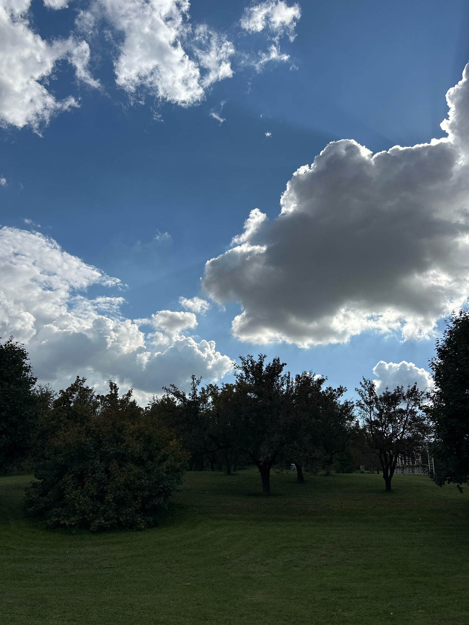 The image depicts a park-like setting with a bright blue sky filled with dynamic white and gray clouds. Rays of sunlight pierce through the clouds, creating a dramatic effect. In the foreground, a manicured green lawn slopes gently. Scattered throughout the middle ground are several trees with dark green foliage, some appearing mature and others more like shrubs. The overall impression is one of a partly cloudy day in an outdoor recreational area, possibly a park or botanical garden, located in Minsk, Belarus.
