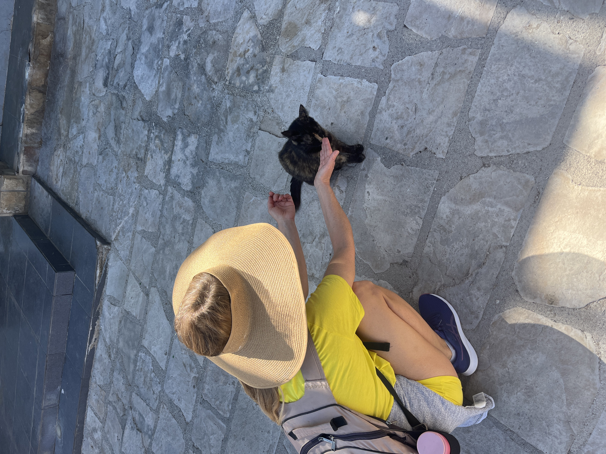 An overhead shot reveals a woman seated on a stone-paved area, possibly a street or square in the city of Budva, Montenegro. The woman, dressed in a yellow shirt and shorts, wears a wide-brimmed hat and blue sneakers. A backpack rests behind her. She is reaching out to pet a tortoiseshell cat sitting in front of her on the paving stones. The stone paving consists of irregular stone slabs with a light gray tone and contrasting, rough gray mortar between them. There is also a dark stone ledge on the left of the image. The scene is sunlit, casting shadows across the paving stones.
