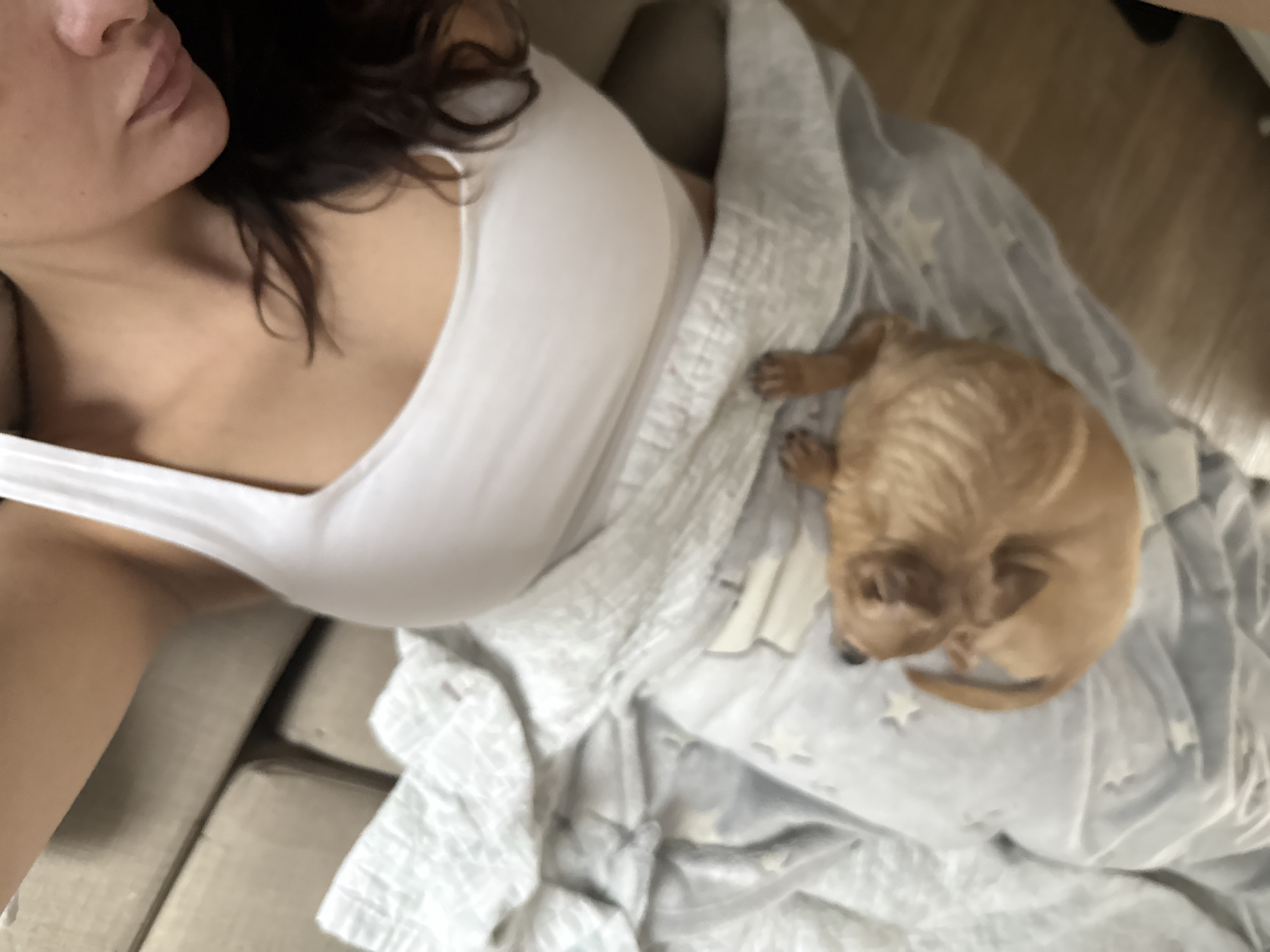 A woman in a white tank top lies on a beige sofa under a blue and white star patterned blanket. A tan-colored dog is curled up on the blanket next to her. Only part of the woman's face is visible. It is not possible to determine if this image was taken in the city of Chaikovsky, Russia, without additional information.