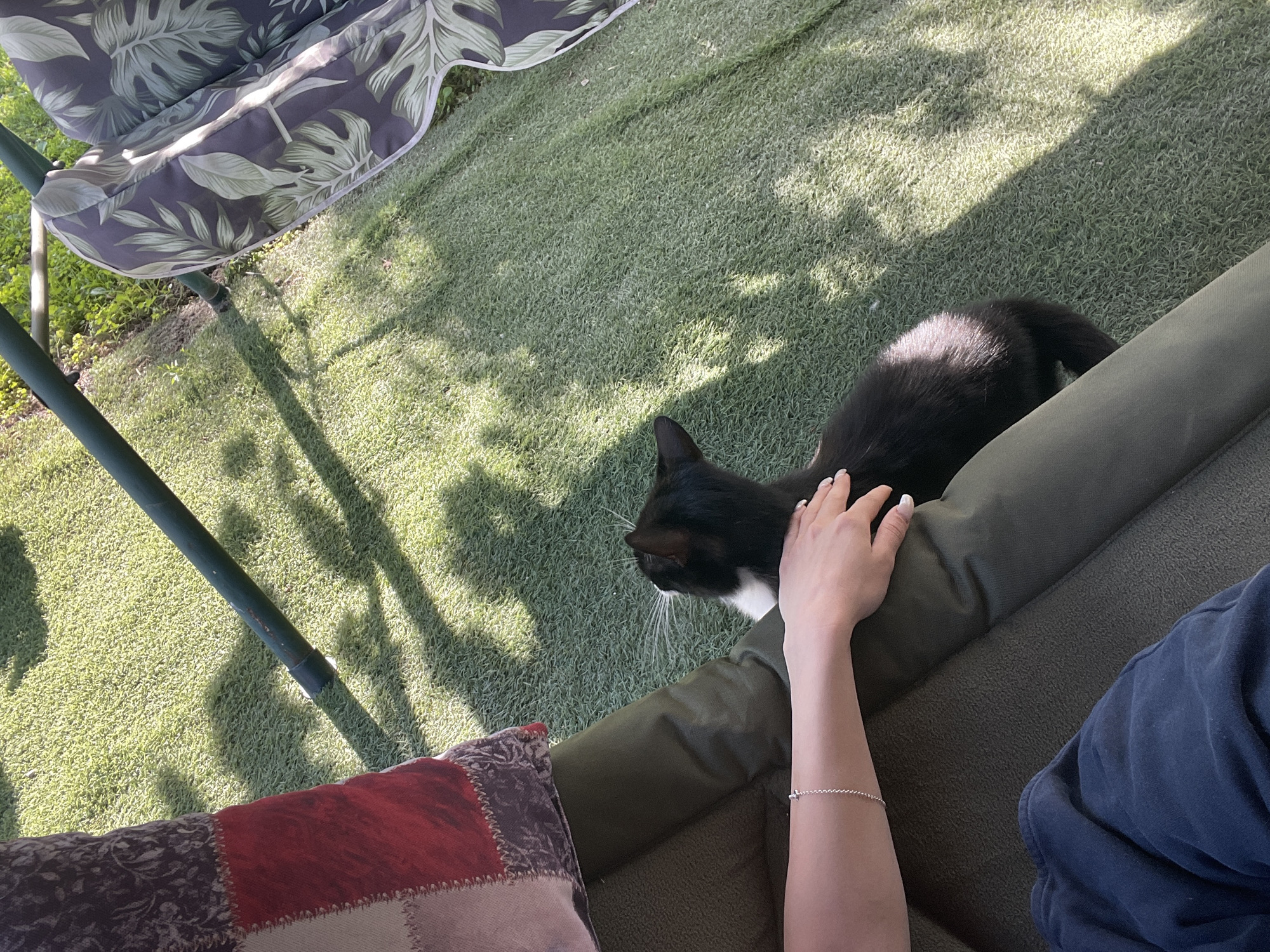 The image captures a serene moment outdoors, likely during the day with clear weather given the distinct shadows. The scene is set on a patch of artificial grass, suggesting a garden or patio area. In the foreground, a person's arm is visible, adorned with a delicate bracelet. A hand rests gently on a black and white cat, which is positioned on a dark green, cushioned outdoor sofa. The cat is looking to the side, its white whiskers prominent against its dark fur.
Behind the sofa, a swing set with a patterned cushion is partially visible. The cushion features a tropical leaf design in shades of green and gray. The swing set's green metal frame casts long shadows across the grass, indicating the sun is at an angle. A colorful patchwork pillow rests on the ground in front of the sofa, adding a touch of domesticity to the outdoor setting. The presence of the cat and the relaxed posture of the person suggest a moment of calm and companionship. The location is identified as Totleben, Bulgaria. There is no visible text in the image.