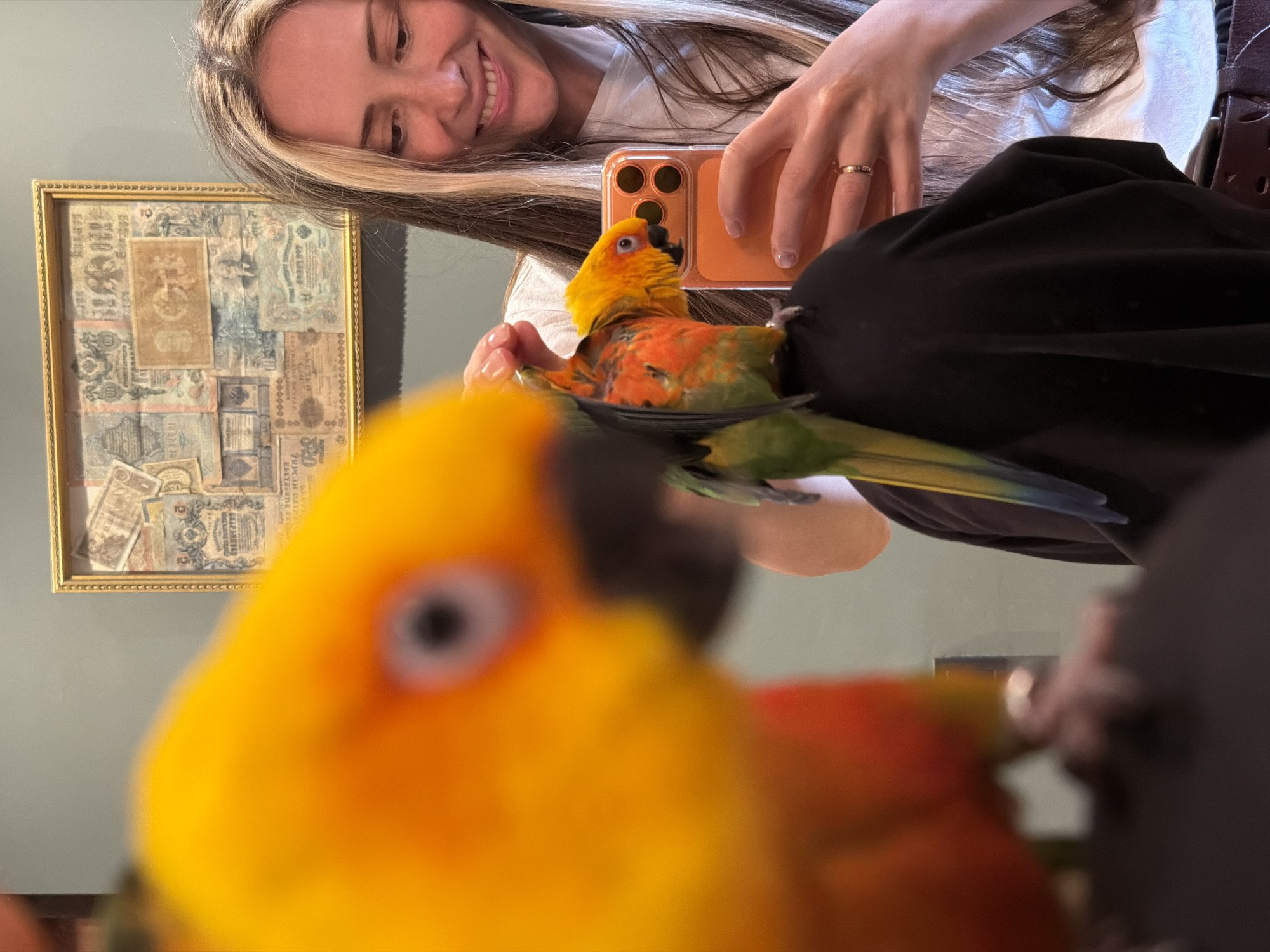 A woman with blonde highlights is taking a selfie with an orange iPhone while smiling at a parrot perched on her lap. The parrot has vibrant orange, yellow, and green feathers. In the background, there's a framed display of old banknotes hanging on a light gray wall. The image appears to be a reflection in a mirror. There is no definitive information that states that the image was taken in the city of Khimki, Russia.