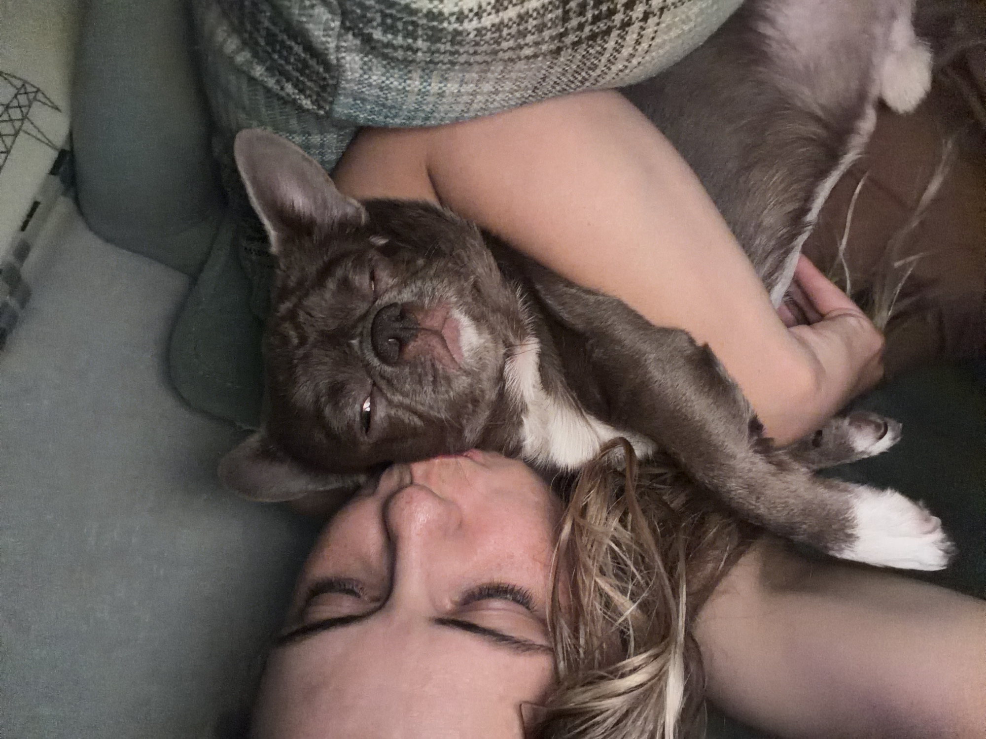 A woman is lying on a blue-gray couch with a gray and white French Bulldog. The woman is lying on her back with her eyes closed and pursed lips. The dog is lying across her upper chest and arms, also with its eyes closed. The couch has a pillow behind the woman's head with a dark green and gray checkered pattern. The location in Votkinsk, Russia is not discernible from the image.
