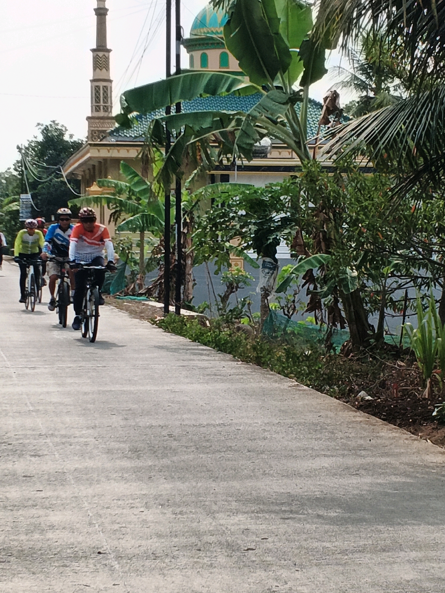 In the city of Ciwuni, Indonesia, four individuals are captured cycling along a paved road. The cyclists, wearing helmets for safety, are positioned in a line, with the lead cyclist in an orange and white jersey and another in a blue and white jersey. Behind them, two other cyclists are visible, one in a bright yellow long-sleeved shirt and the other in a blue and white jersey. Their bicycles are standard models. The background features lush greenery, including banana trees and palm fronds, characteristic of the tropical environment. A prominent mosque with a distinctive green dome and a tall minaret stands behind the foliage, suggesting a cultural and religious context. The road surface is concrete, with some debris and vegetation encroaching from the sides, indicating an outdoor, possibly semi-urban or rural setting. The lighting suggests it is daytime, with natural light illuminating the scene.