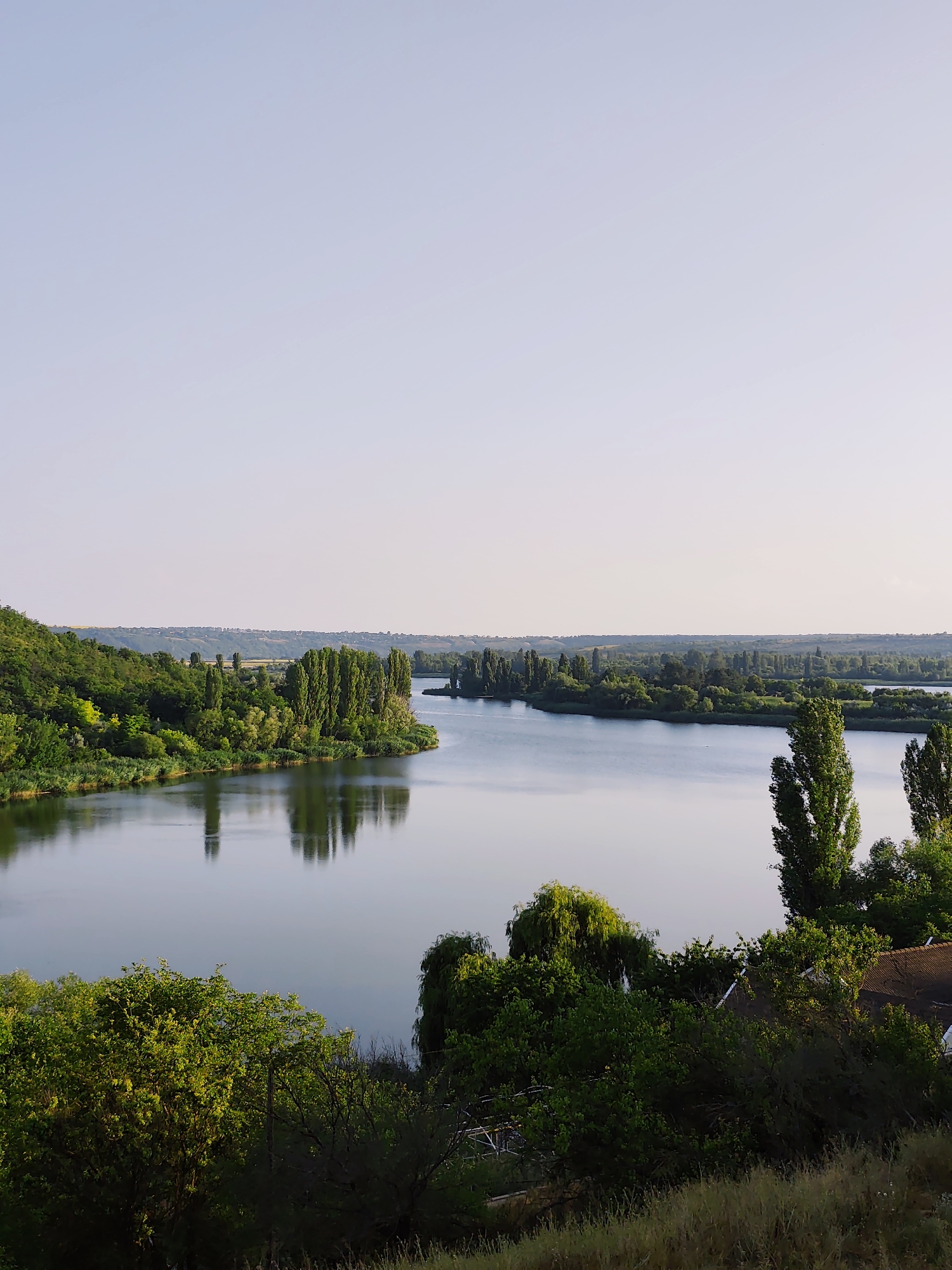 This is a wide shot taken from an elevated perspective of the Nistru River near Goyany, Moldova. The river occupies the lower half of the frame, its surface smooth and reflective, mirroring the sky and the lush green vegetation that lines its banks. The left bank is characterized by a steep, tree-covered hill, its foliage dense and varied. Along the river's edge, reeds and shorter bushes are visible.
The right bank is also heavily wooded, with numerous tall, slender trees dominating the landscape. Some of these trees stand in clusters, while others are more isolated. In the foreground on the right, a portion of a building with a terracotta-tiled roof is partially visible, peeking through the dense green canopy. The background shows a distant, undulating landscape covered in trees and fields, receding into the hazy horizon. The sky is a pale, cloudless blue, transitioning to a lighter shade towards the horizon. The overall impression is one of natural serenity and verdant abundance.