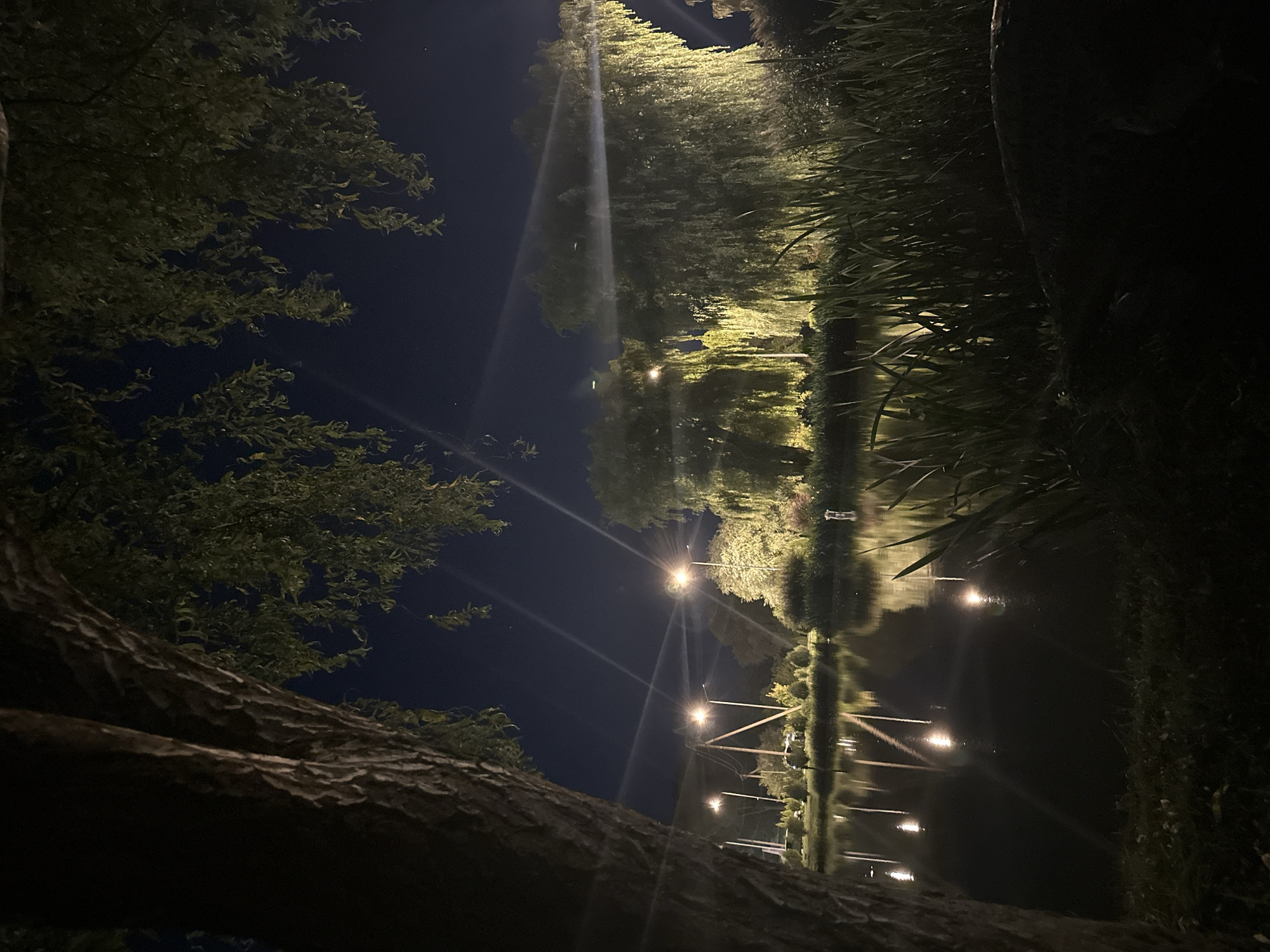 This is a nighttime photograph of a park in the city of Khmilnyk, Ukraine. The image is taken from ground level, with a large tree trunk in the foreground on the left, partially obscuring the view. In the mid-ground, a calm body of water reflects the lights of street lamps and surrounding trees. Several street lamps are visible, casting bright, diffused light. The background features a shoreline with various trees, including prominent weeping willow trees, illuminated by the artificial lights. Tall grasses and foliage are visible along the edge of the water in the foreground and mid-ground. The sky is dark, indicating it is night. There are no people or visible animals in the scene.
