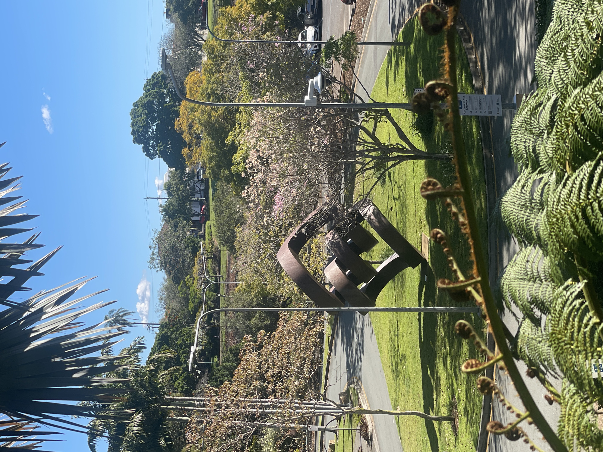 In Spring Hill, Australia, a public art sculpture, constructed from dark metal with a geometric, interlocking design, is positioned on a manicured green lawn. The sculpture is centrally located within a park-like setting, with paved pathways and streetlights surrounding it. Several trees are visible in the background, some bearing light pink blossoms, and others with autumn foliage of yellow and brown hues. Palm trees and lush green foliage contribute to the natural environment. A light-colored car is parked on the right side of the image, adjacent to the pathway. In the foreground, unfurling fern fronds are in sharp focus, partially obscuring the view of the mid-ground. The sky is clear and blue with a few small clouds.