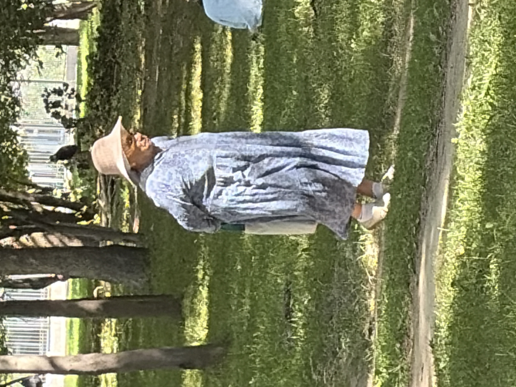 An elderly woman wearing a light-colored wide-brimmed hat and a long, blue floral-print dress walks on a grassy area, with trees and a white fence in the background. She appears to be carrying a light-colored bag on her left arm. The scene is outdoors in a park-like setting with dappled sunlight.