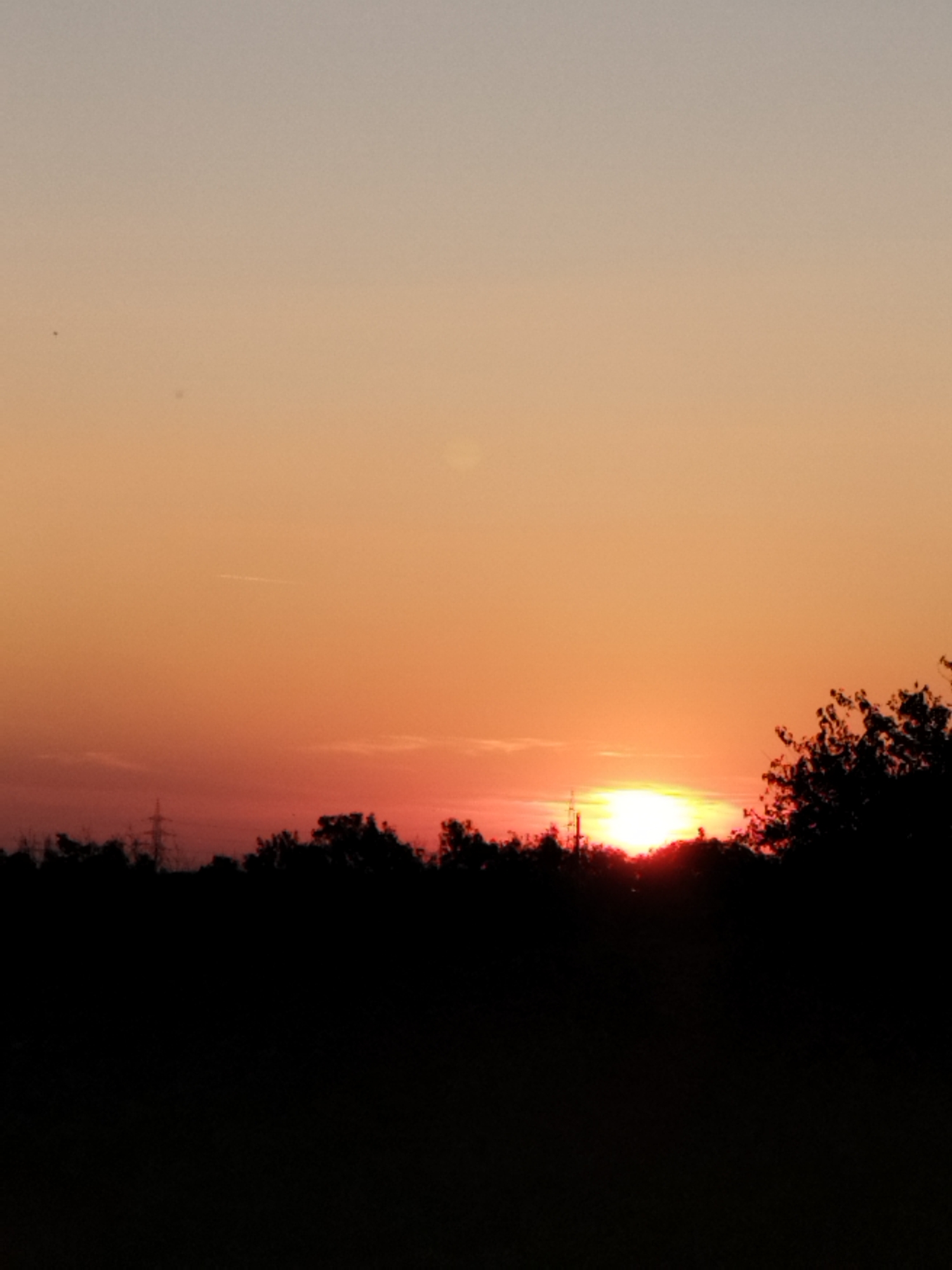 The image captures a sunset in Bucharest, Romania. The sky is a gradient of warm orange and pink hues, transitioning to a lighter shade at the top. Silhouetted against the vibrant sky is a dense line of trees and foliage, forming a dark horizon. A prominent power line tower is visible on the left side of the frame, also in silhouette. The sun itself is a bright, radiant orb positioned just above the tree line, casting a strong glow that illuminates the surrounding sky. The overall scene is tranquil, with the natural beauty of the sunset dominating the composition.