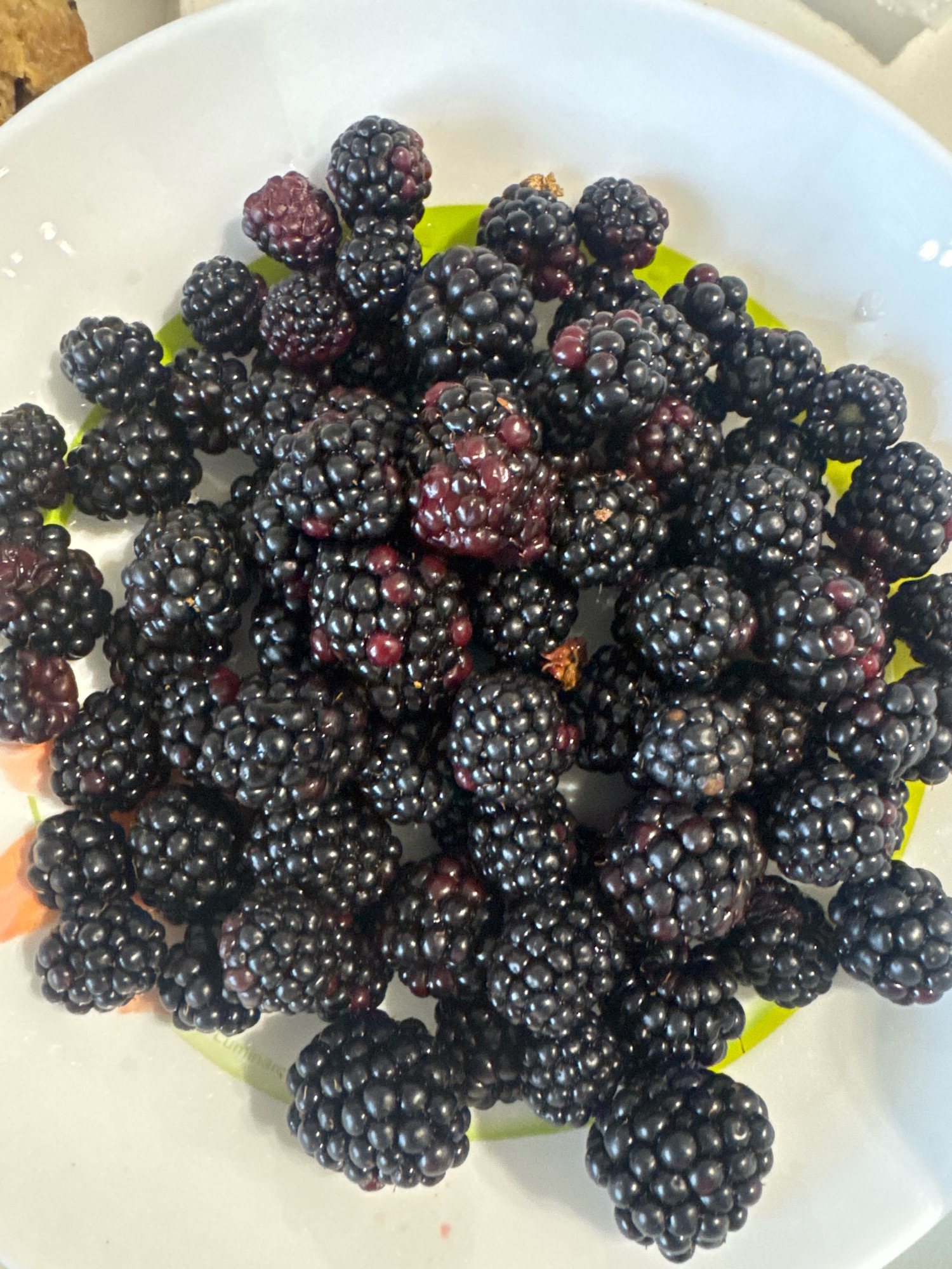 A close-up, overhead view shows a white bowl filled with fresh blackberries, some of which are a deep purple-black color and others are a reddish-purple, indicating varying stages of ripeness. The blackberries are clustered together, with some showing individual drupelets clearly. A small segment of a bright green mat is visible beneath some of the berries in the center of the bowl, and the edge of an orange object is partially visible on the lower left. The background consists of the white interior of the bowl. No people or actions are depicted. The scene is indoors. The specific location of the image within the city of Sovkhoz imeni Lenina, Russia, cannot be determined from the visual information provided.