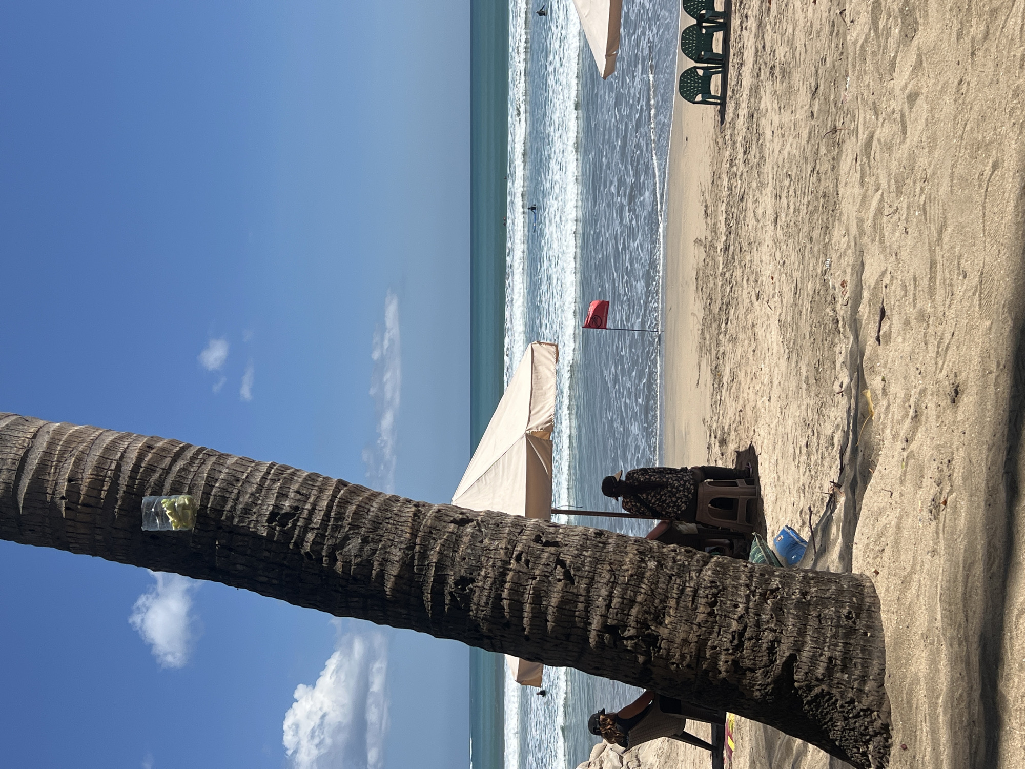 A medium shot captures a serene beach scene in Kuta, Indonesia, on a clear, sunny day. In the foreground, the textured bark of a large palm tree dominates the left side of the frame, with a plastic bottle containing a yellow substance attached to it. Two individuals are seated on chairs and stools under a tan beach umbrella, facing the ocean. To their right, a red flag is planted in the sand near the water's edge, signaling caution. The ocean is a vibrant blue-green, with moderate waves and several surfers visible in the distance. A second tan umbrella stands further down the beach, with a row of green plastic chairs arranged in front of it. The sandy beach is mostly clear, with some scattered debris. The sky is a brilliant blue, punctuated by a few wispy white clouds.