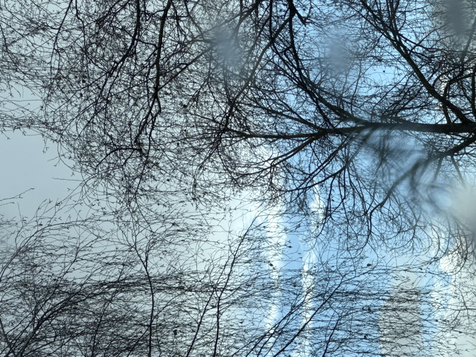 The image displays an upward view through a network of bare tree branches against a partially cloudy sky in Oberhausbergen, France. The sky consists of light blue areas with dispersed white cumulus clouds and sections of pale grey. Several deciduous trees, silhouetted in dark tones, dominate the frame. On the left, a tree with numerous slender, drooping branches, exhibiting small dark catkins or buds, extends from the top and left edges. On the right and center, a different tree type presents thicker, more robust, and upward-reaching branches, also devoid of foliage. A faint, translucent white haze or smearing is present in the lower right quadrant of the image. No individuals, animals, or artificial structures are discernible.