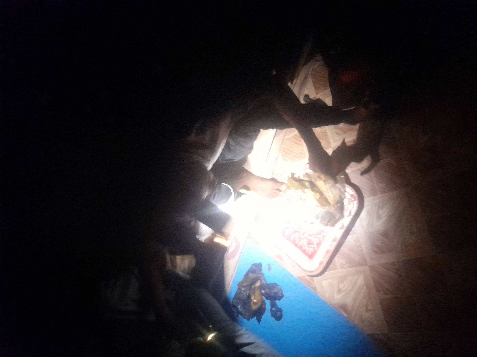 The image depicts a dimly lit indoor scene, likely at night or in a room with poor lighting, illuminated primarily by a single bright light source in the central-right. Several individuals are present, mostly appearing as silhouettes or partially visible figures. In the foreground on the left, a person is seated or kneeling, with their torso, arm, and legs faintly discernible, wearing dark clothing. Their attention seems directed towards the illuminated area.
Near the bright light, a person's bare feet are visible, suggesting they are also seated or positioned close to the light source. Other indistinct figures can be observed in the darker background.
A rectangular tray with a white and red patterned design rests under the bright light. Inside the tray, there are various items, possibly food or parts of an animal being prepared, appearing somewhat organic and irregularly shaped. In front of the person on the left, on a blue mat or cloth spread on the floor, lies a pile of dark, lumpy material, which could be food, offal, or waste from the activity taking place. The floor beneath the mat and around the tray is tiled or made of patterned wood.
The activity appears to be a communal gathering, possibly for a meal or the preparation of food, with the participants focused on the items illuminated by the artificial light. No visible text is present in the image. The extreme darkness outside the immediate light source is a prominent detail.