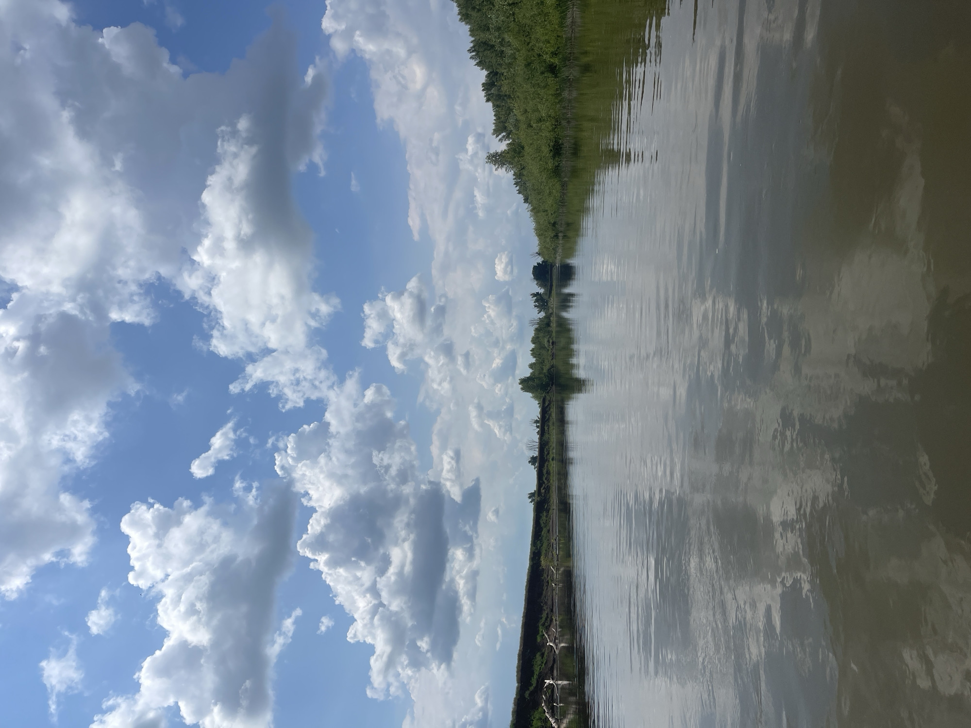 The image depicts a serene river scene with a wide expanse of calm water reflecting the bright blue sky and fluffy white clouds. The left bank of the river is lined with dry, weathered logs and a steep, earthy embankment covered in sparse green vegetation. Further along the left bank, a line of trees is visible. The right bank of the river is densely covered with lush green trees and foliage, extending into the distance. The water itself is a murky brown color, with subtle ripples disturbing the reflection of the sky. The scene appears to be a natural landscape, likely in a rural or undeveloped area. While the location is stated to be in the city of Nezhinka, Russia, no specific landmarks or structures that would definitively identify this location are visible in the image. The overall impression is one of tranquility and natural beauty on a sunny day.