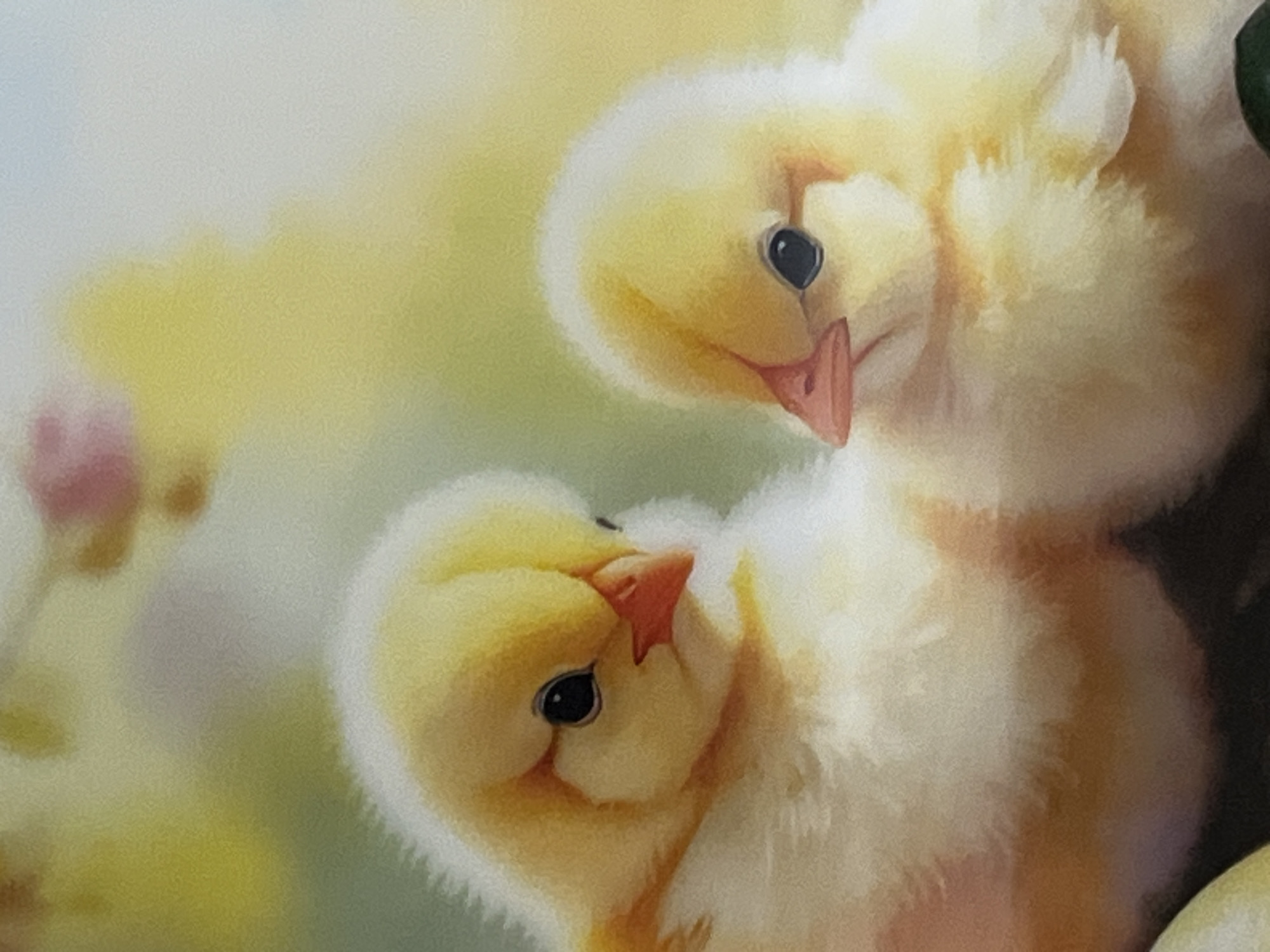 Two fluffy, yellow chicks are the focal point of the image. One chick is slightly above and behind the other, creating a stacked composition. Both chicks have small, black eyes and pinkish-orange beaks. The background is soft and blurred with hints of yellow and green, possibly suggesting a spring or nature scene. A pink, bud-like shape is visible on the left. No specific details connect the image to Shumen, Bulgaria; therefore, the location is unknown.