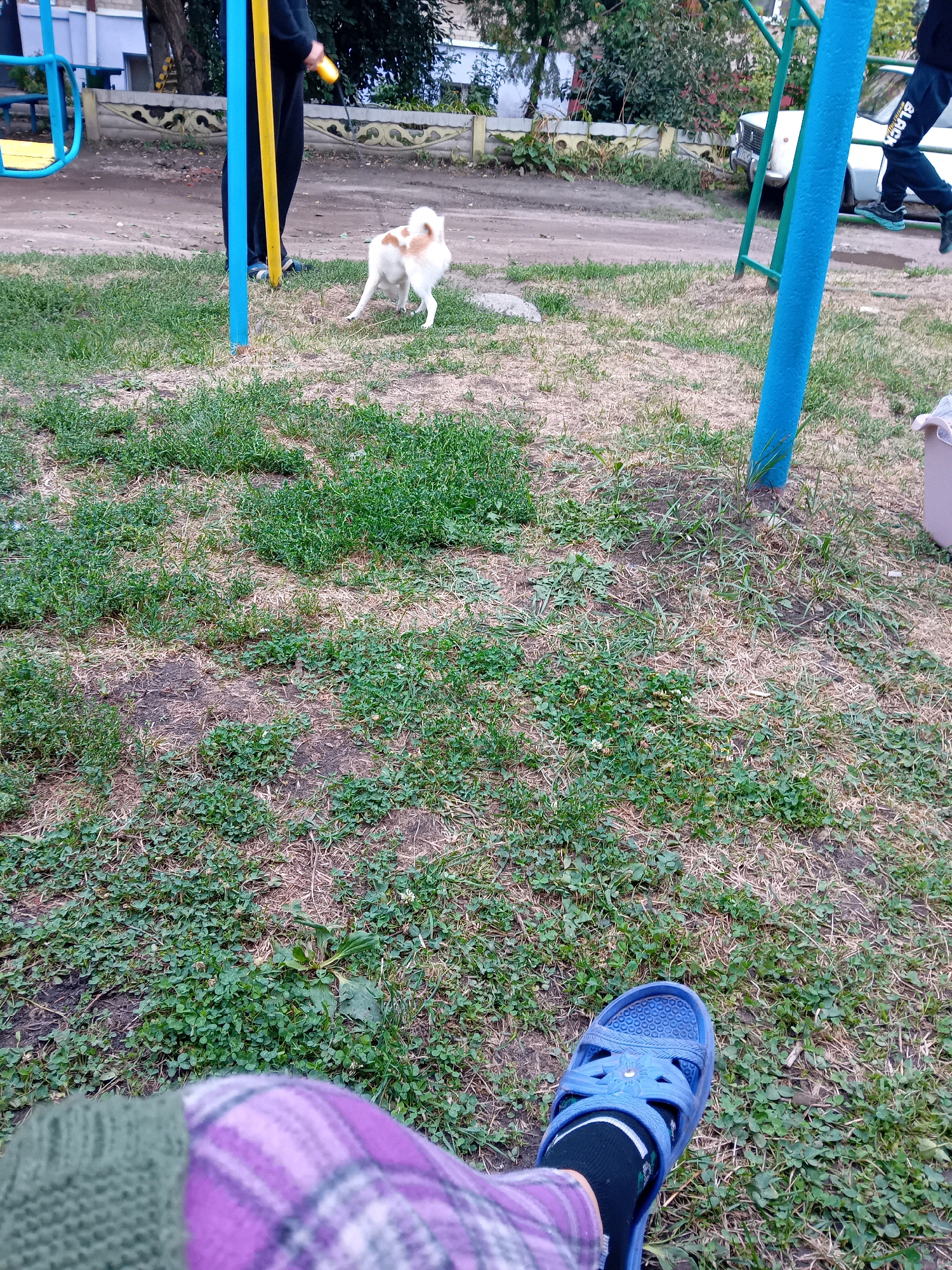 An overhead, first-person perspective shot shows a pair of blue sandals and a person's legs wearing a purple plaid skirt and a green knitted sweater, situated in a grassy area in Chuhuiv, Ukraine. In the background, a small, fluffy dog with white and tan fur stands on a patch of grass. To the left, a swing set with a blue and yellow frame is visible. A person in black pants and a black jacket stands near the swing set, holding a yellow object. A white car is parked in the background, and a decorative concrete fence runs along the edge of the yard. The ground is covered in a mix of green grass and dry, brown patches.