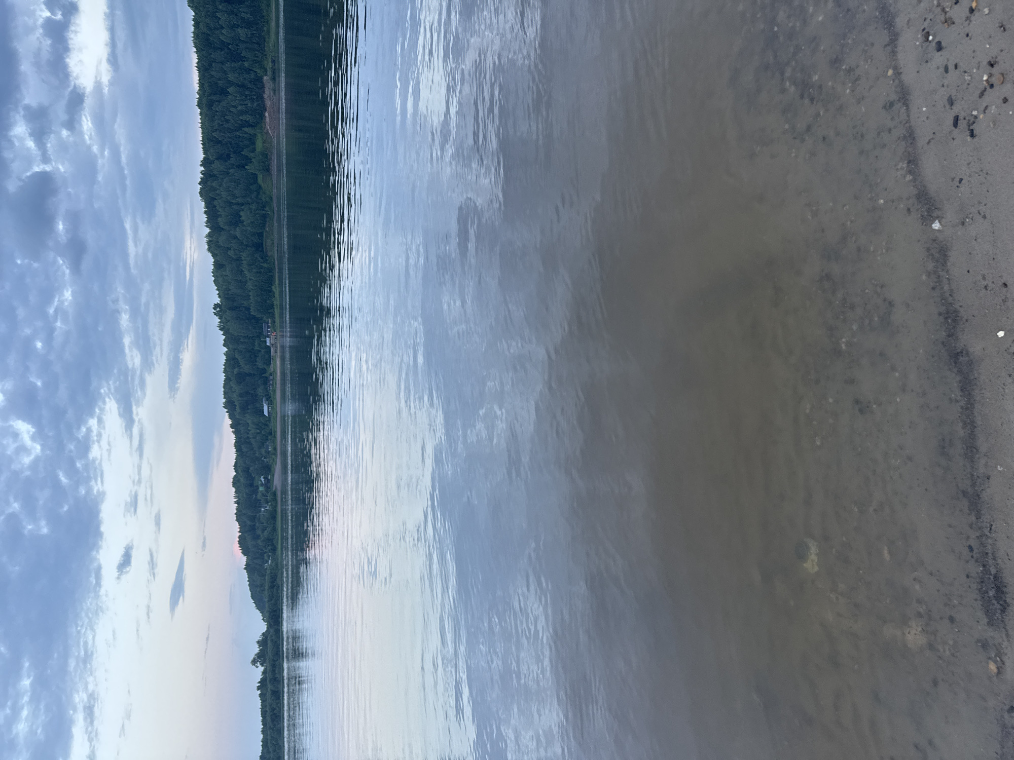 The image depicts a serene riverbank scene in Tyulkino, Russia. The foreground is dominated by a sandy shore with scattered pebbles and a shallow, murky water edge. The water surface reflects the overcast sky, with subtle ripples creating a textured effect. Beyond the river, a dense, dark green forest stretches across a low-lying hill, with a few small buildings peeking through the trees in the distance. The sky is a muted blue-gray, filled with layered clouds that suggest the approach of twilight or an overcast day. The overall atmosphere is calm and natural.