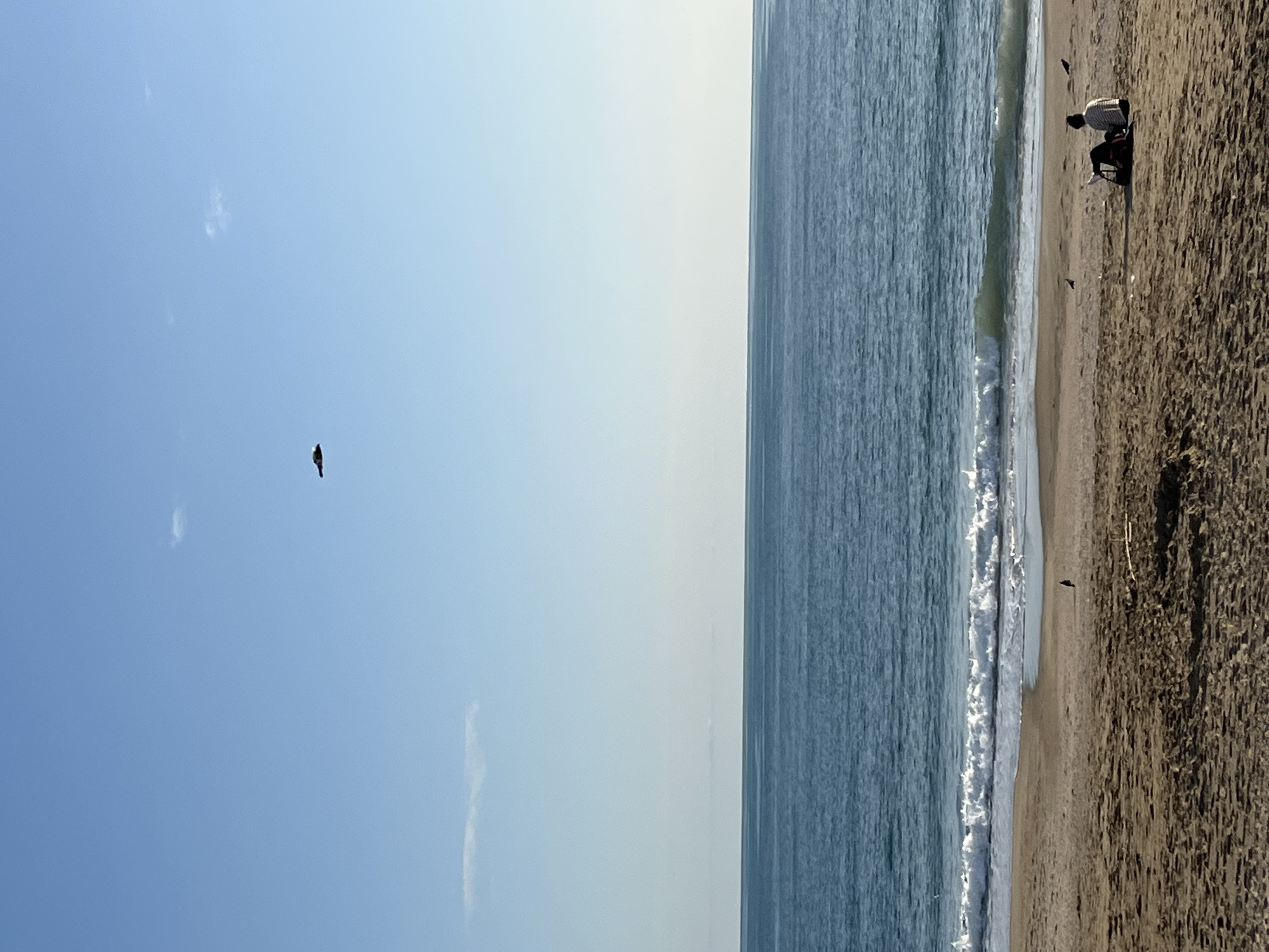 The image shows a beach in Alanya, Turkey. A person is on the beach with a beach chair. There is a bird flying in the sky. The waves are coming up on the beach.