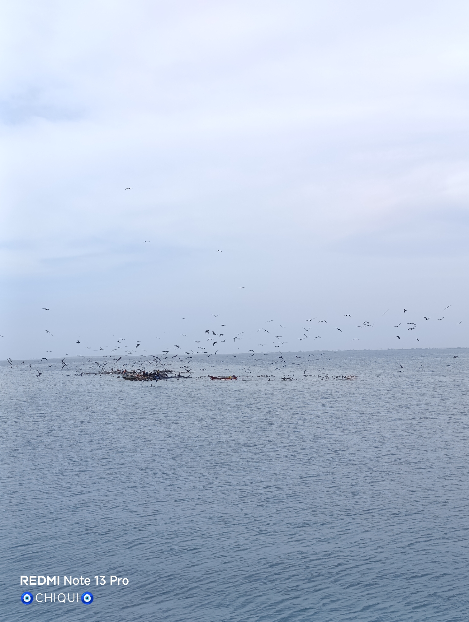 The image shows a seascape off the coast of Porlamar, Venezuela. A multitude of seabirds are flying above the water and are gathered on and around several small boats. The water is a light blue-gray, and the sky is overcast with a lighter shade of gray. The boats appear to be fishing boats, with indistinct figures visible on them. The overall scene suggests an active fishing area with a large bird population. The Redmi Note 13 Pro watermark is present in the lower left corner.