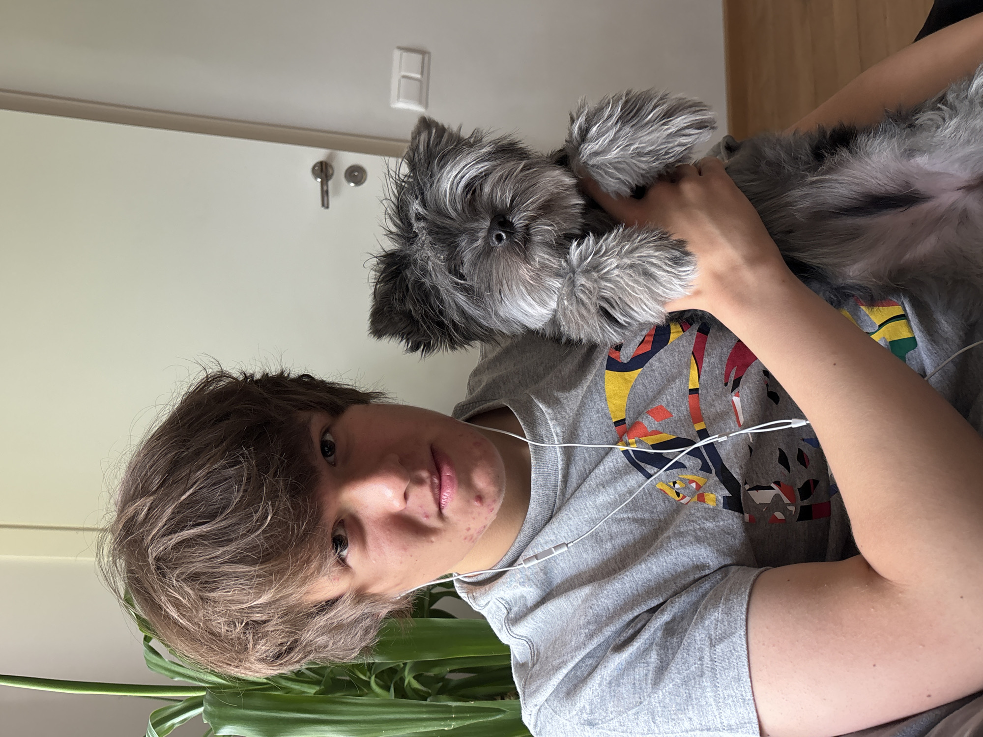 A person with brown hair is holding a gray terrier-type dog. The person is wearing a gray t-shirt with a colorful graphic design and white wired earphones. The background includes a white wall with a light switch and a doorknob. Part of a green plant is visible in the foreground. There is no information available to confirm the location of the image within the city of Chaikovsky, Russia.