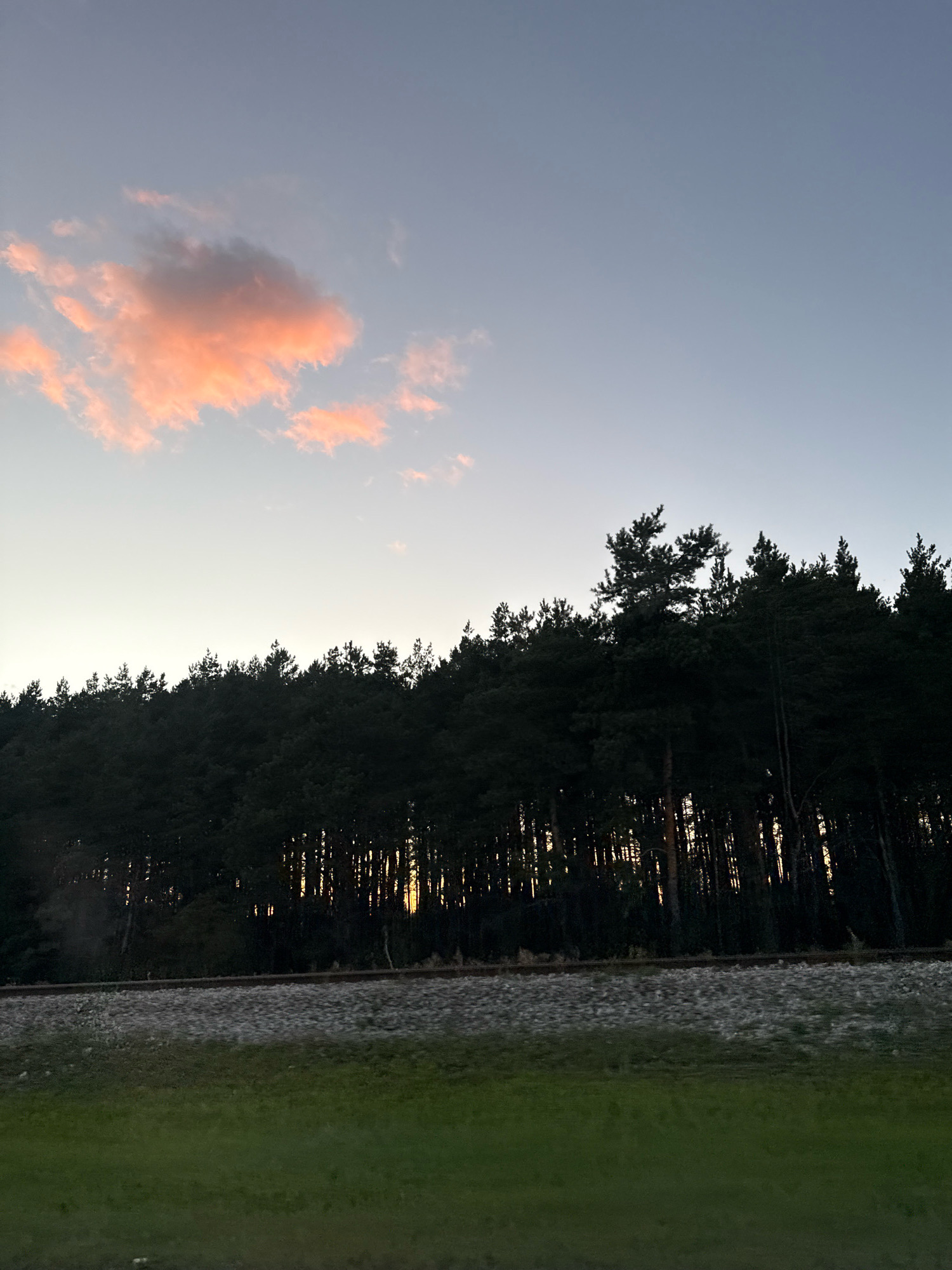 The image depicts a serene natural landscape, likely at dusk or dawn. A dense forest of pine trees dominates the middle ground, silhouetted against a pale sky. The trees are tightly packed, forming a dark, undulating line across the horizon. Through the trees, faint streaks of golden light suggest the setting or rising sun. In the foreground, a railway track runs horizontally, its ballast visible. Beyond the tracks, a strip of green grass suggests a field or verge. Above the forest, the sky transitions from a light, almost white hue near the horizon to a soft, pale blue at the top of the frame. A single, small cloud is illuminated with a warm, peachy-pink glow, contrasting with the otherwise muted sky. The scene evokes a sense of tranquility and natural beauty, with no human presence or activity visible. Without further information, the specific location in Tallinn, Estonia, cannot be determined from the image alone; however, the presence of a forest and railway line is common in many suburban and rural areas of the city.