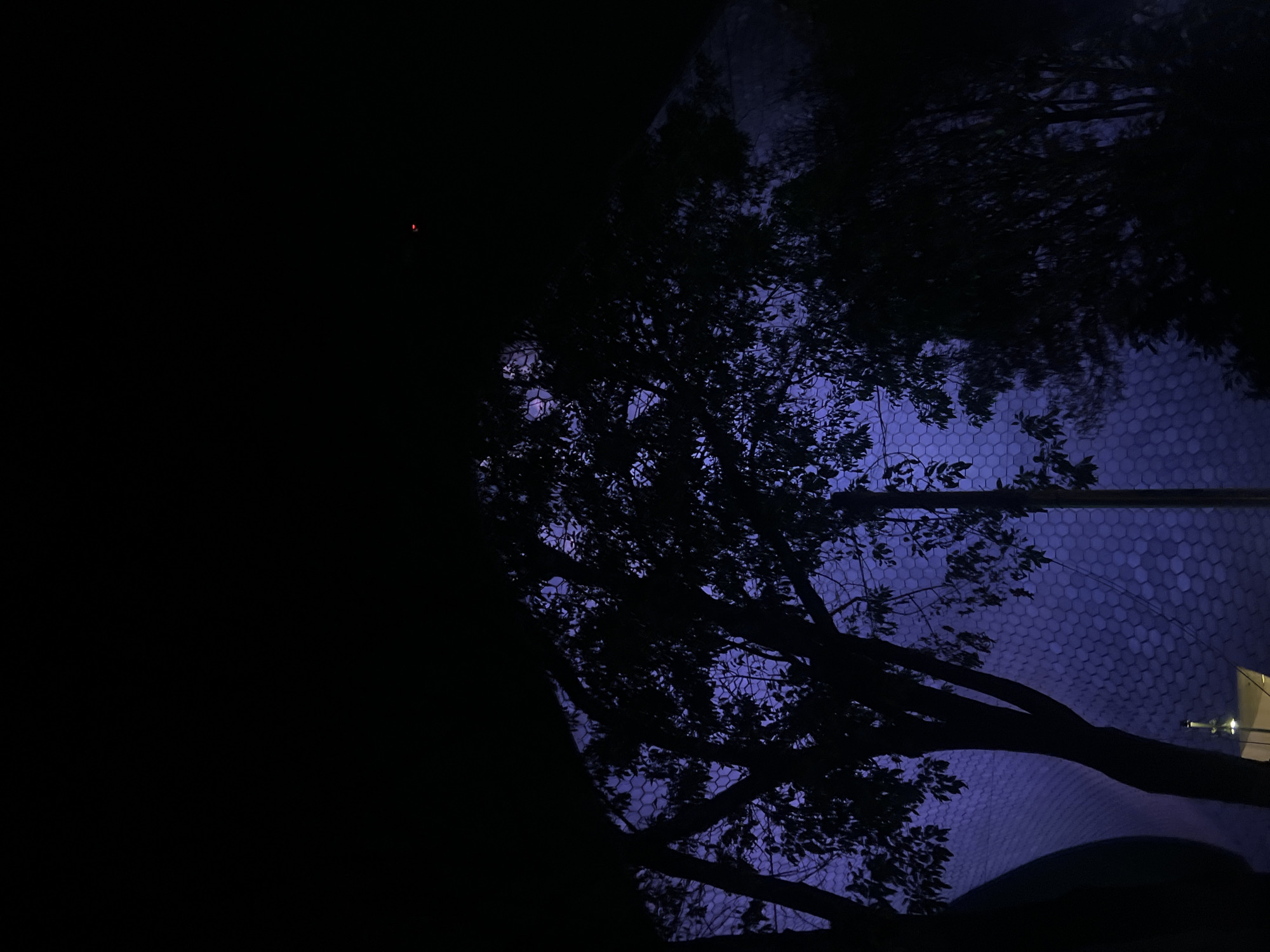 The image depicts a night scene, likely in Mexico City, Mexico, showing a view upwards through tree branches. The background features a distinct structure covered in a tessellated pattern of hexagons, likely the Soumaya Museum due to the architecture visible, in particular, the hexagonal exterior of the museum. The overall tone of the scene is dark, with the leaves and branches silhouetted against the blue or violet-lit museum facade.