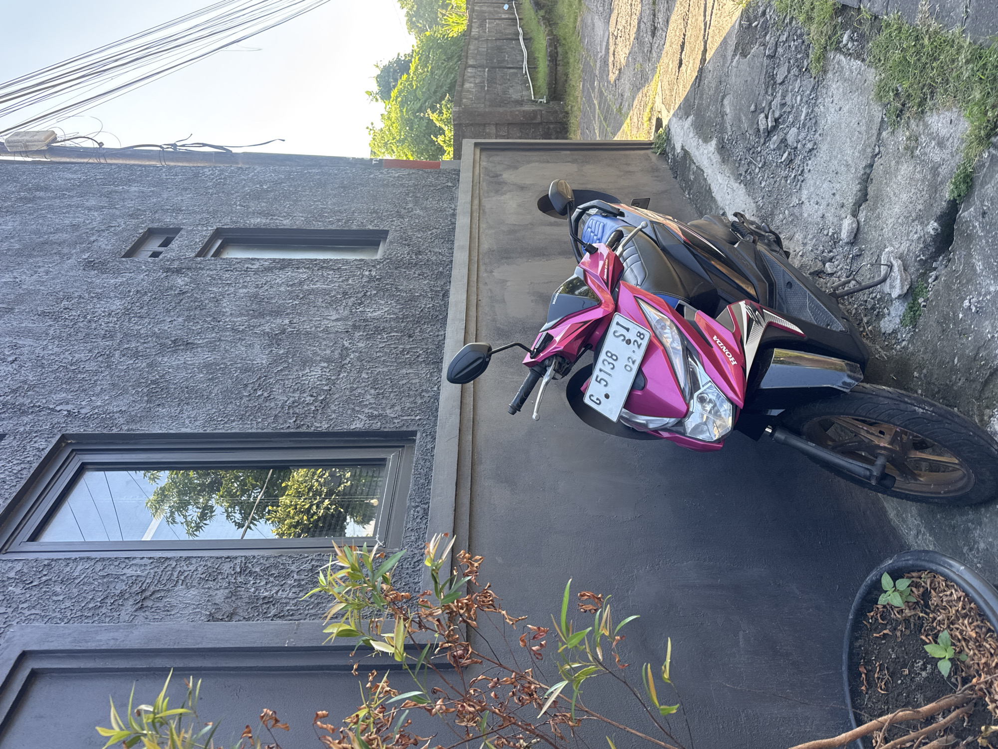 An outdoor scene in Kuta, Indonesia, depicts two parked scooters beside a textured dark grey building wall under bright daylight. In the foreground, on the right, is a prominent pink and black Honda scooter, identified by the "HONDA" logo on its front fairing and a visible license plate "C 5138 SI 02-28". Its golden wheels are partially visible. Behind it, another black scooter with a blue seat is partially obscured.
The scooters are parked parallel to a rough dark grey wall that separates the building from a concrete pathway or driveway. Further back, a tall concrete retaining wall with some grass growing on it is visible, suggesting a slight elevation or a stepped area. Overhead, numerous power lines stretch across the bright sky.
On the left side of the image, the dark grey building wall features two rectangular windows; one is smaller and higher up, while the other is larger and lower, reflecting trees and the sky. In the bottom left foreground, a shrub with both green and dry, brown leaves grows, and to the bottom right, a potted plant with fresh shoots sits on the ground. The sun is high, casting clear shadows and illuminating the scene, indicating either morning or late afternoon. The overall impression is a typical street or alleyway scene in a residential or commercial area.