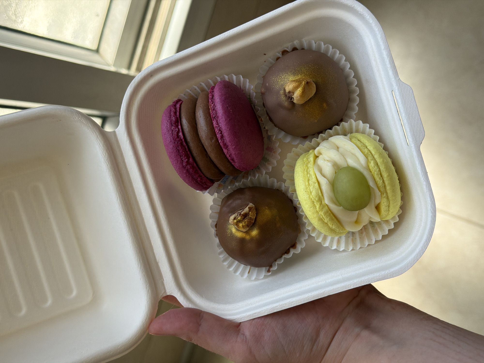 A person holds a white square takeout container in their left hand. Inside the container are four small pastries. At the top left are two macarons, one magenta and one brown. Next to them are two small, round chocolate-covered pastries in white paper liners, each topped with a nut and gold dusting. At the bottom right is a yellow macaron with white filling and a green grape in the center. The hand holding the container is light-skinned. The background shows a blurred view through a window. The location is Tel-Aviv, Israel, based on the context.