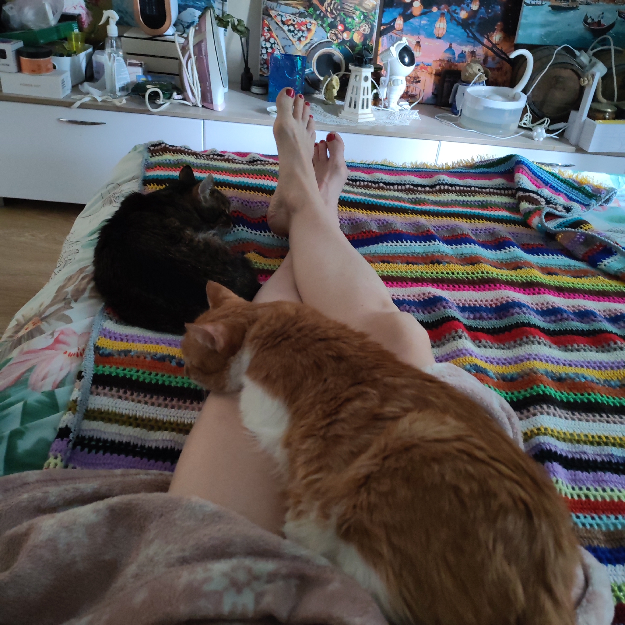 The scene is an indoor shot of a bed with a colorful crocheted blanket. Two cats are present: one orange and white cat resting on a person's legs, and a dark-colored cat lying nearby on the blanket. A person's bare feet with red nail polish are visible.
In the background, a white dresser or cabinet is cluttered with various items, including an iron, lotion bottles, and framed pictures. The exact location in the city of Chaikovsky, Russia cannot be determined from the image.