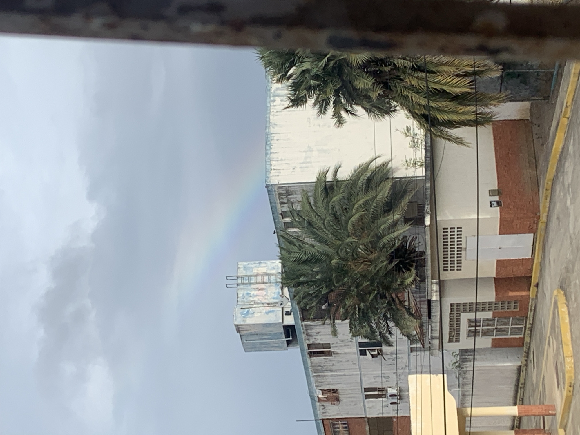 The image shows an urban scene on a cloudy day, possibly after rain, as indicated by the presence of a faint rainbow in the sky. Buildings with white and red brick facades are visible, some obscured by palm trees. The architecture appears to be institutional or commercial. A ladder is visible on the roof of one building. There are no people visible in the frame. The foreground contains an out-of-focus element that appears to be part of a window frame. The exact location is undetermined.
