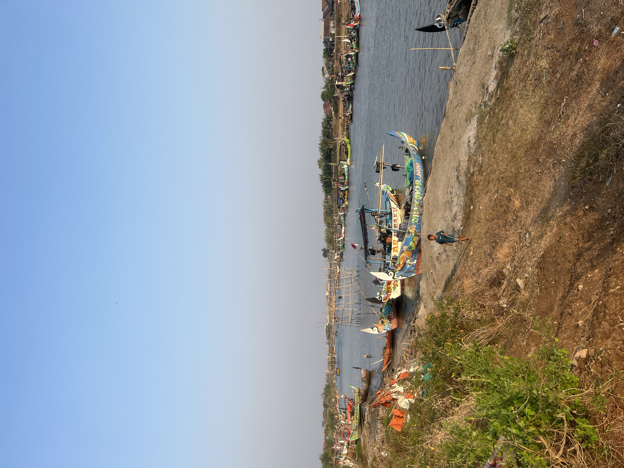 The image depicts a wide, calm body of water, likely a river or canal, with numerous colorful, traditional fishing boats moored along both banks. The boats are of various sizes and designs, many adorned with intricate paintings of fish, dragons, and floral patterns. Some boats are close to the shore, while others are further out in the water.
On the left bank, a patch of dense, green vegetation is prominent in the foreground, with dry, brown earth and scattered debris. Several brightly colored orange flags are tied to makeshift poles in this area. A few boats are beached or partially submerged near this bank.
On the right bank, the terrain is a mixture of dry, sandy earth and sparse vegetation. A young boy, wearing a striped t-shirt and shorts, is walking on this bank, holding a stick. Further along the bank, more boats are visible, and in the distance, a line of houses and buildings with tiled roofs forms the edge of a settlement. Bamboo structures, possibly for fishing or boat repair, are also present along the water's edge. The sky is a clear, pale blue, indicating daylight with no visible clouds. The overall impression is of a busy fishing village at sunset or sunrise, given the soft lighting.
The scene is located in the city of Kedungmalang, Indonesia, a coastal area known for its fishing communities. The presence of numerous traditional fishing vessels and the general atmosphere strongly suggest this location.
