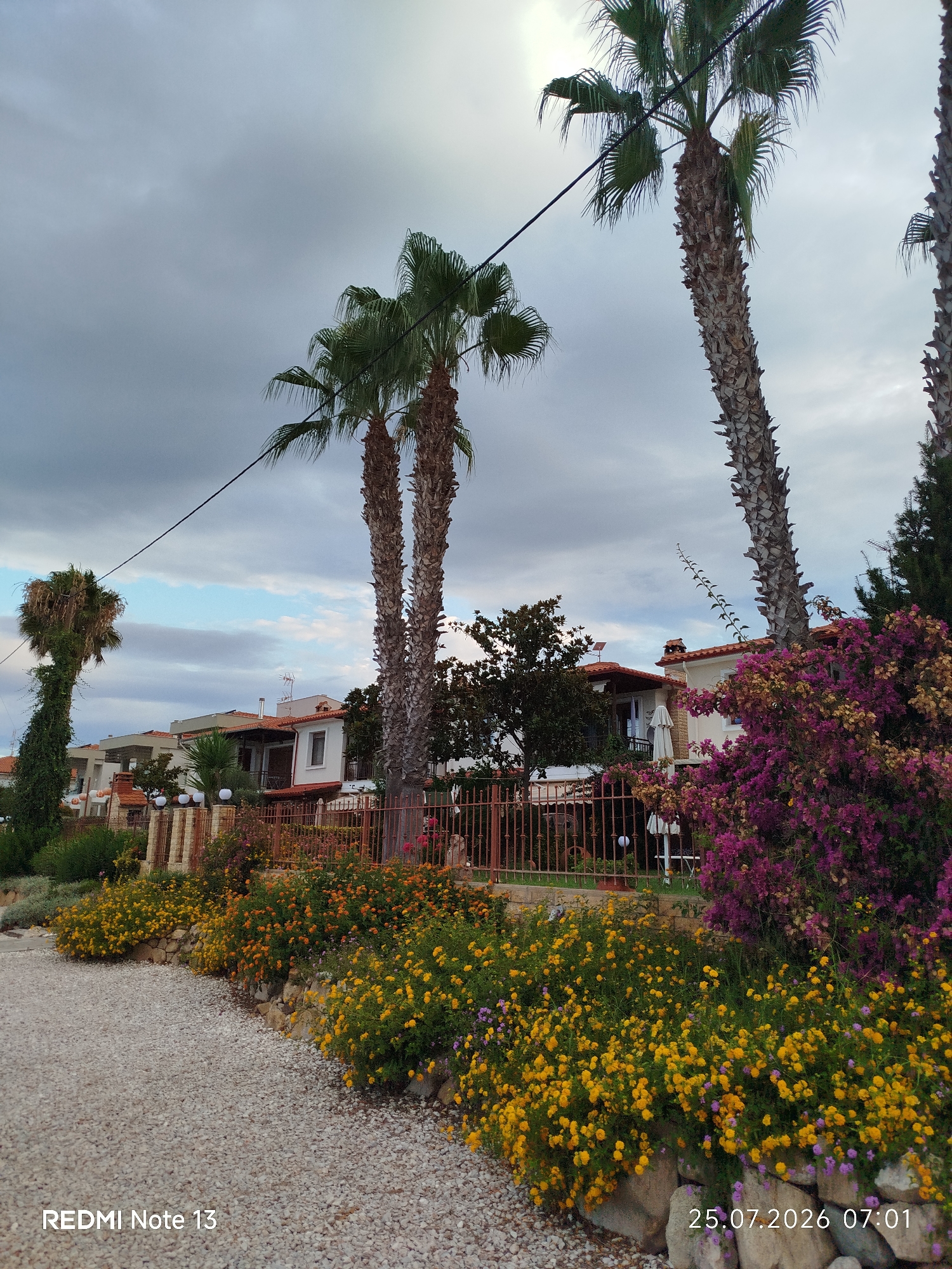 The image shows a street view in Sithonia Municipal Unit, Greece, on July 25, 2026, at 07:01. Palm trees are prominent in the foreground and mid-ground, with one slender palm tree on the left covered in ivy, and two thicker palm trees to the right. The street is lined with gravel and a wall of rocks adorned with vibrant yellow and purple flowers. Behind the flowers and fence, there are houses with terracotta roofs and white walls. The sky is cloudy with patches of blue visible. A power line runs diagonally across the upper part of the image. The overall scene depicts a residential area with lush vegetation and Mediterranean architecture.