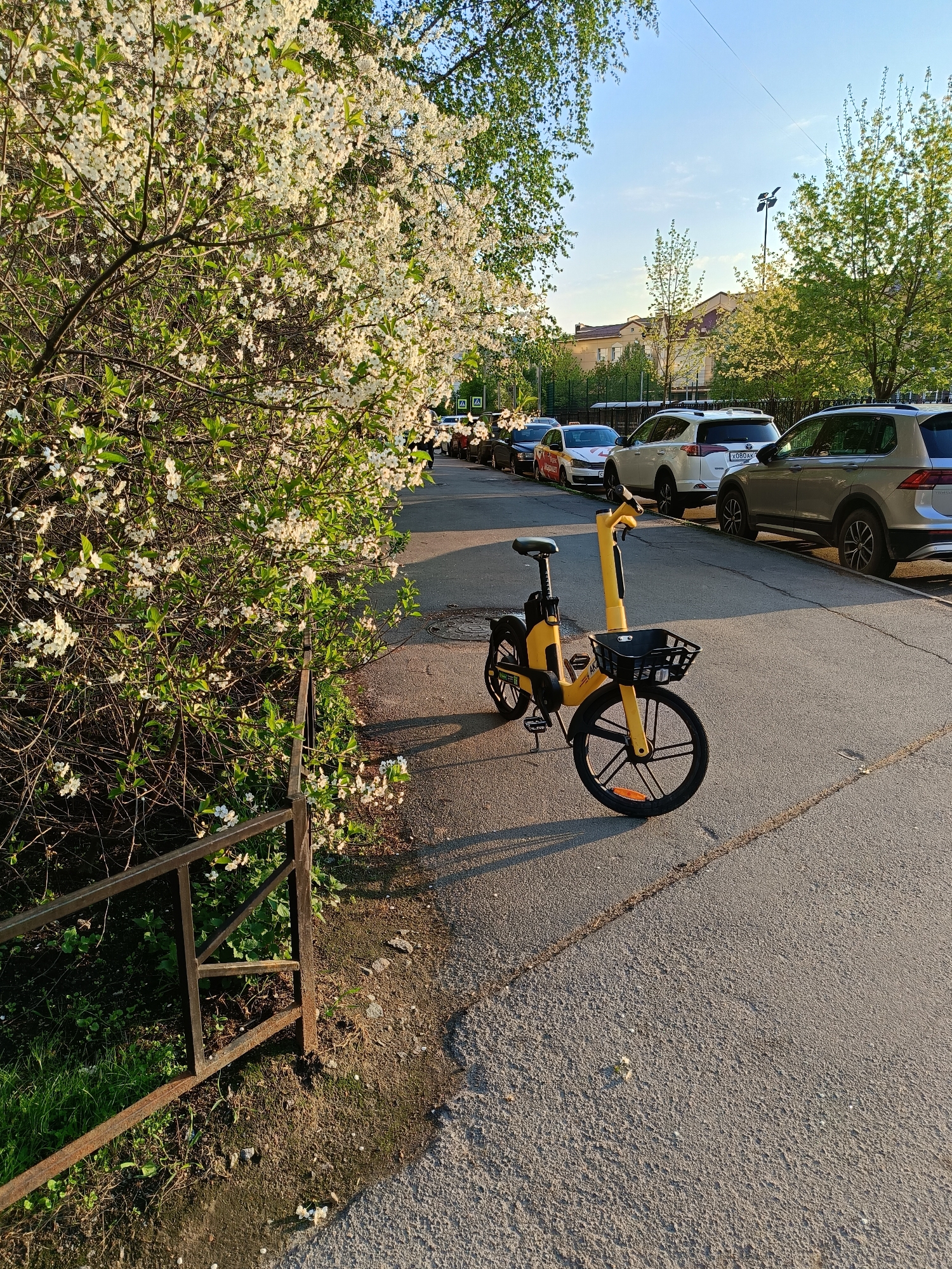 The image depicts a street scene in Saint Petersburg, Russia. A bright yellow e-bike with a front basket is parked on a paved street. Behind the bike, several cars are parked along the curb, including a white RAV4 with the license plate "X080AK". A blooming tree with white flowers is located on the left side of the image, partially obscuring a rusty metal fence. The sky is clear, suggesting a sunny day. A residential building is visible in the background.