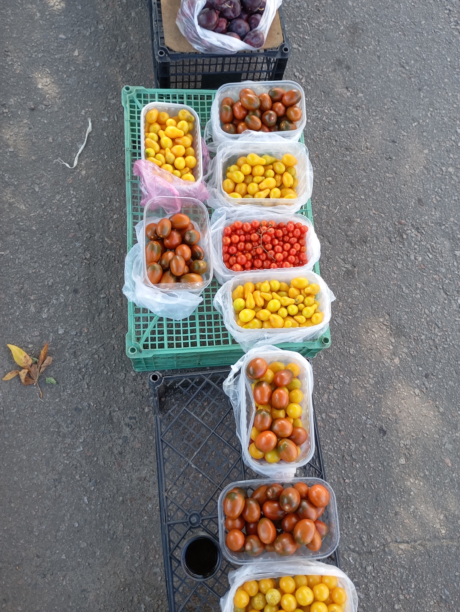The image depicts a market stall in Horishni Plavni, Ukraine, with an assortment of cherry tomatoes and plums. The scene is viewed from a high angle, looking down onto a paved surface, likely a street or marketplace.
Dominating the frame are several clear plastic containers filled with various types of cherry tomatoes. From top to bottom, we see a container of dark red and brown cherry tomatoes, followed by a container of bright yellow cherry tomatoes. Below that is a container of red cherry tomatoes. Further down, another container holds yellow cherry tomatoes, and then a container with a mix of dark red and yellow cherry tomatoes. The lowest visible container holds yellow cherry tomatoes. Some containers are partially wrapped in plastic.
Two black plastic crates are visible, one stacked beneath the green plastic crate holding most of the tomatoes, and another at the very top, containing a bag of dark purple plums. A single, dried yellow leaf rests on the pavement to the left of the crates. The overall impression is one of fresh produce being displayed for sale. There are no people or animals visible in the image. The lighting suggests it is daytime, with some shadows indicating the direction of the sun.