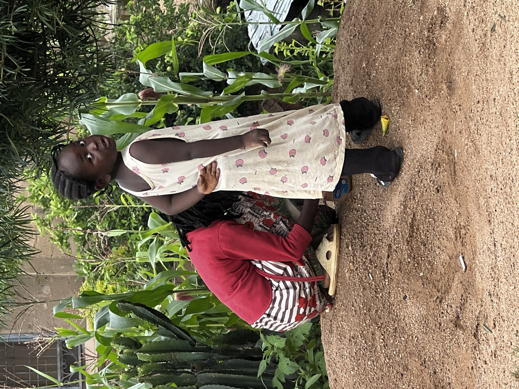 The image depicts two young Black girls in an outdoor, possibly rural, environment, given the presence of corn stalks and lush greenery. One girl, facing away from the camera and looking over her shoulder, stands in the foreground, wearing a sleeveless white dress with a pink fruit pattern and black tights with black sandals. The other girl is crouched down, facing away from the camera, wearing a red long-sleeved top and a skirt with white and brown horizontal stripes and red floral patterns. She appears to be interacting with something on the ground. They are positioned on a mound of reddish-brown gravel. In the background, there is dense vegetation, including tall corn plants and some prickly green plants. A building with a barred window is visible on the far left. The overall scene suggests a natural or semi-urban setting within Jos, Nigeria, likely in a residential area with a garden.