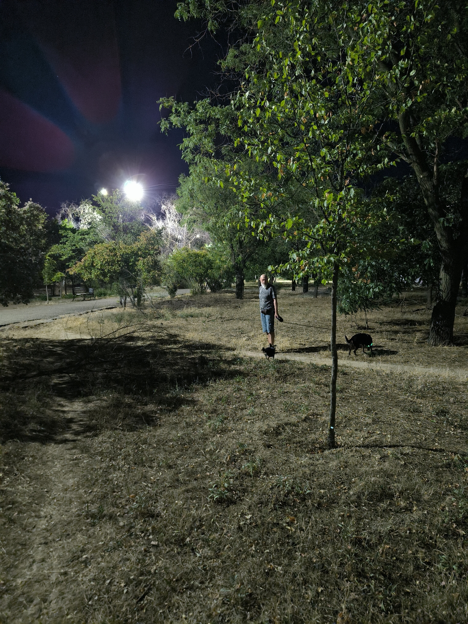 An outdoor, nighttime scene in a park area, possibly in Mykolaiv, Ukraine. A man is standing on a dirt path, holding a leash attached to a black dog. The dog appears to be wearing a green collar light. A smaller black dog is also visible to the left of the man. The man is wearing a t-shirt and shorts. The park is sparsely populated with trees and dry grass. In the background, artificial lights are visible, illuminating some of the trees and pathways. The sky is dark, with some light orbs of lens flare present. The overall impression is that of a late-night walk in a somewhat unkempt park.