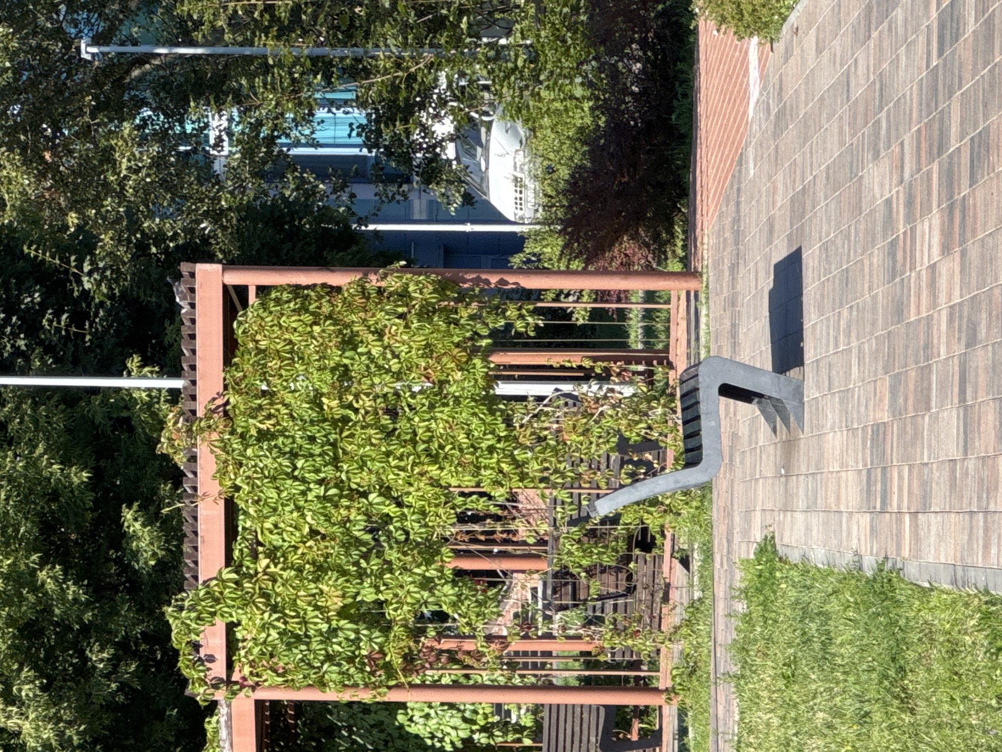 The image shows an outdoor park area with a modern metal bench in the foreground, situated on a brick-paved walkway. To the left of the bench is a well-maintained lawn, and behind the bench, a red metal pergola is heavily covered in green ivy. In the background, trees and bushes create a lush green environment. A white van is partially visible through the foliage, and a building with blue windows can be seen behind the trees. The scene appears to be a public space designed for relaxation and enjoyment, possibly in a suburban or park-like setting within Nizhny Novgorod, Russia. There are no people visible in the image.